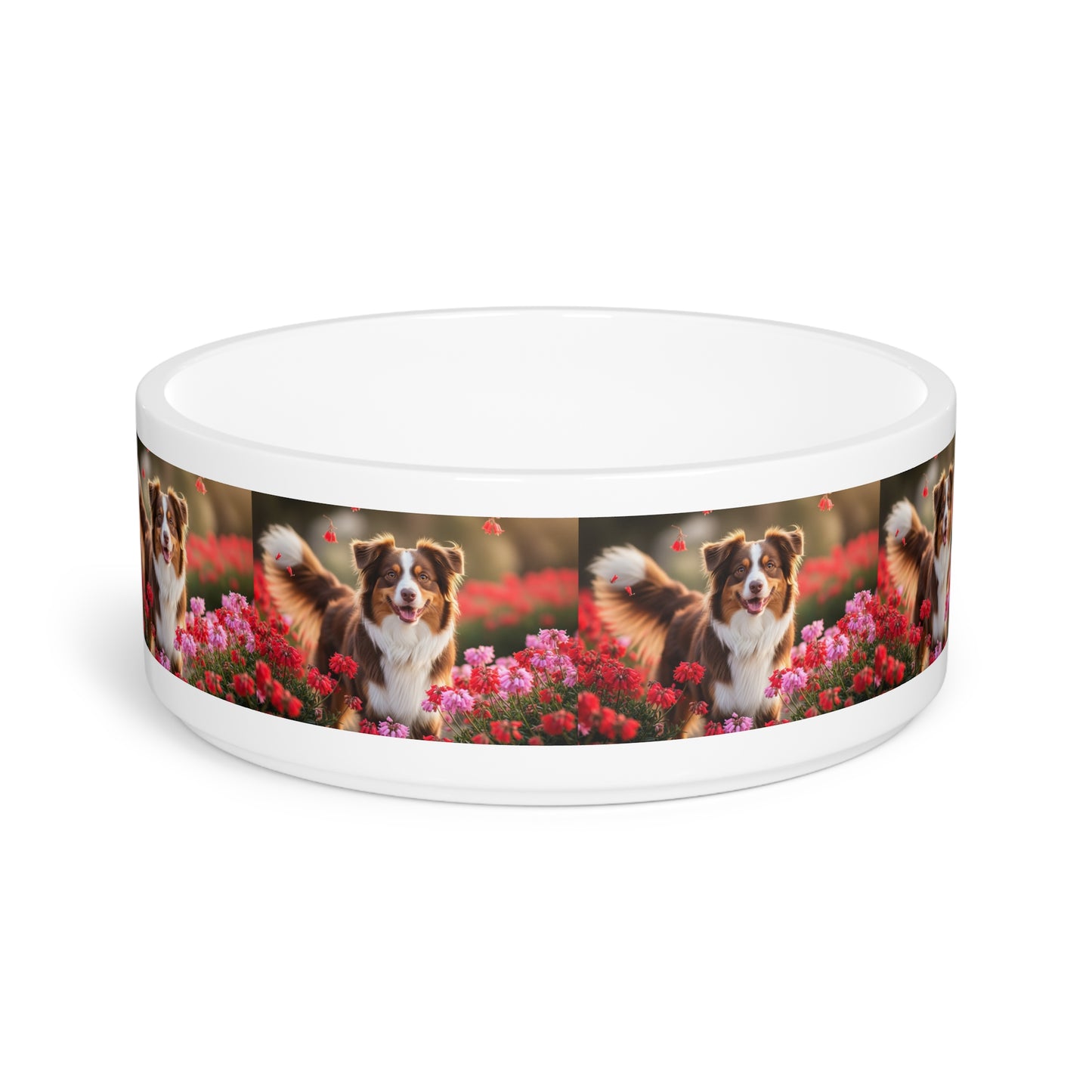 Mini Aussie Pet Bowl