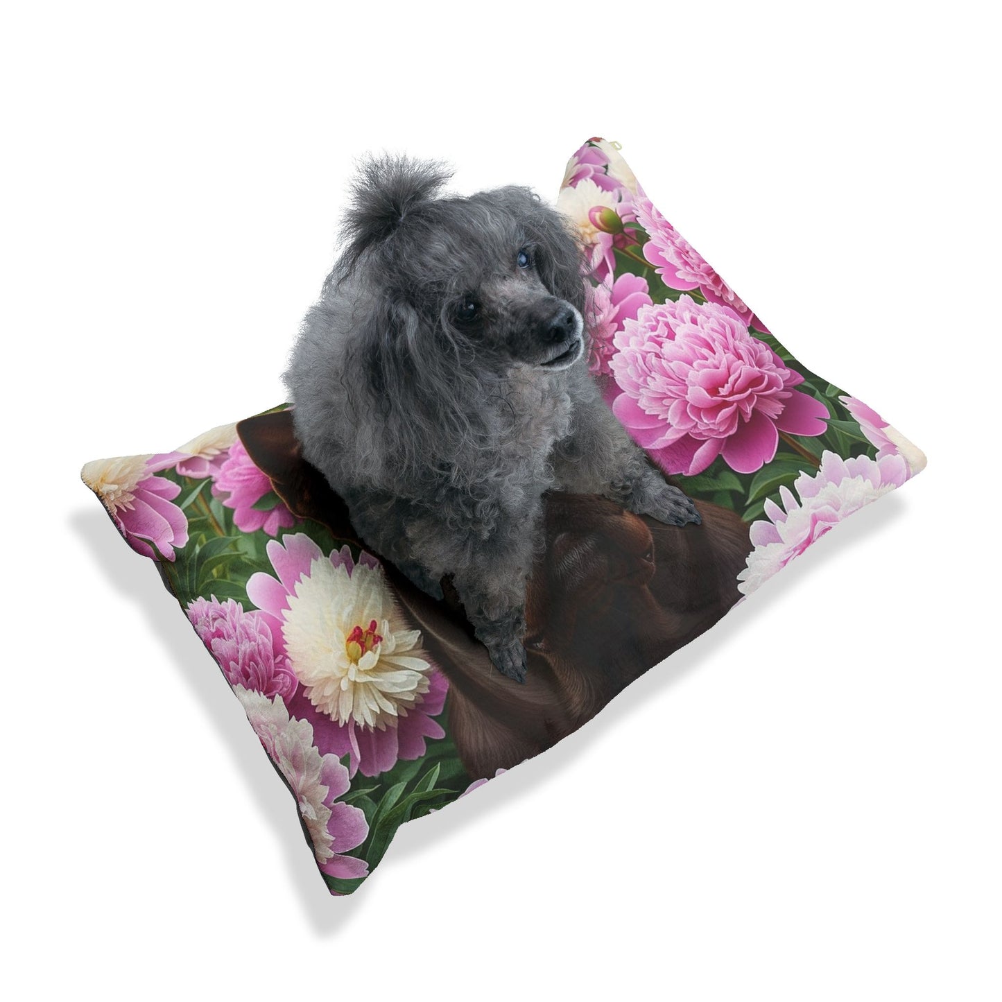 Chinese Chongqing Pet Bed