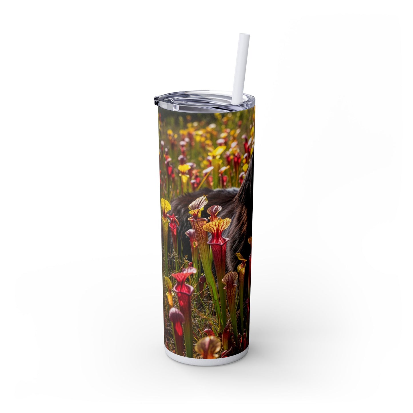 Newfoundland Skinny Tumbler with Straw, 20oz