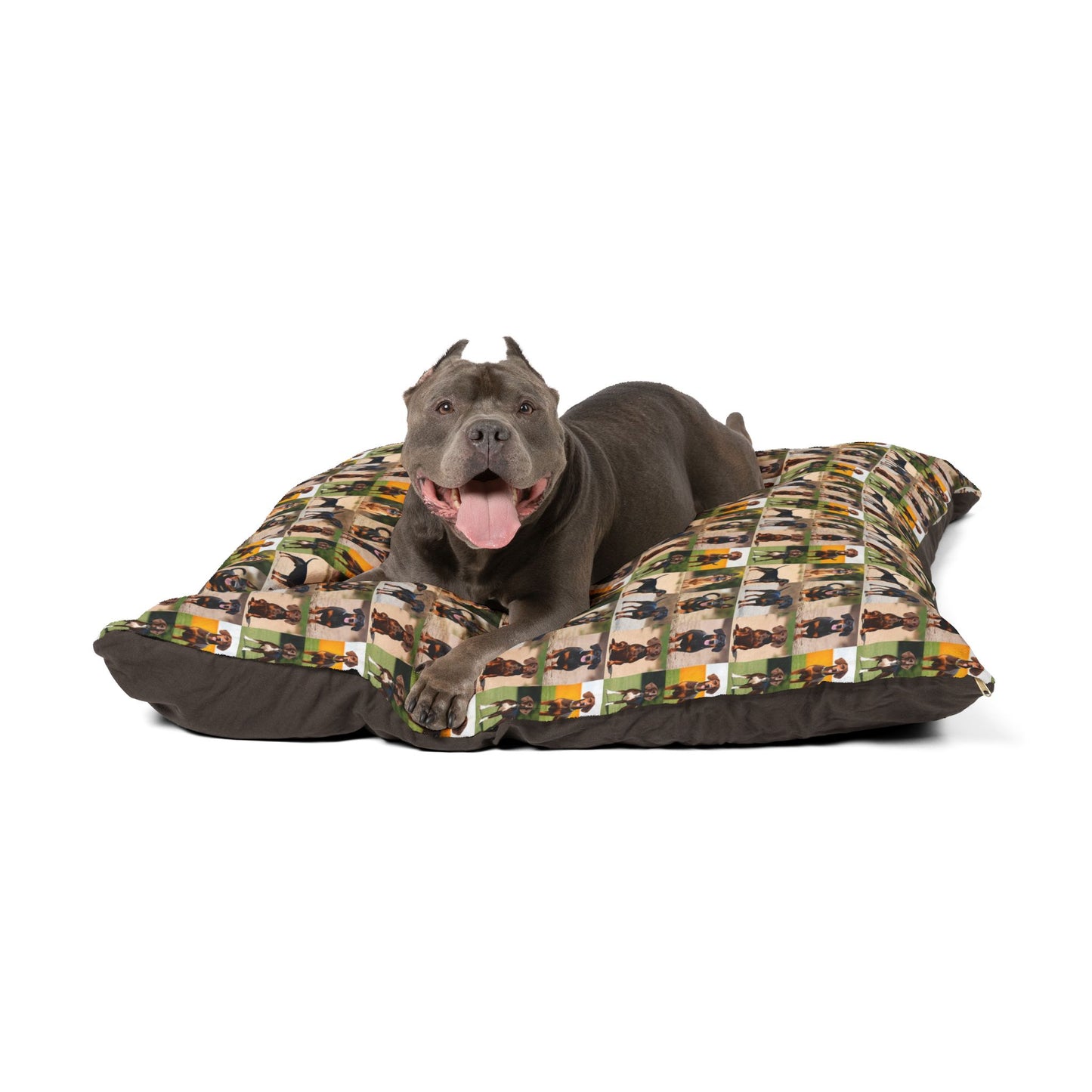 Beste Hunde Pet Bed