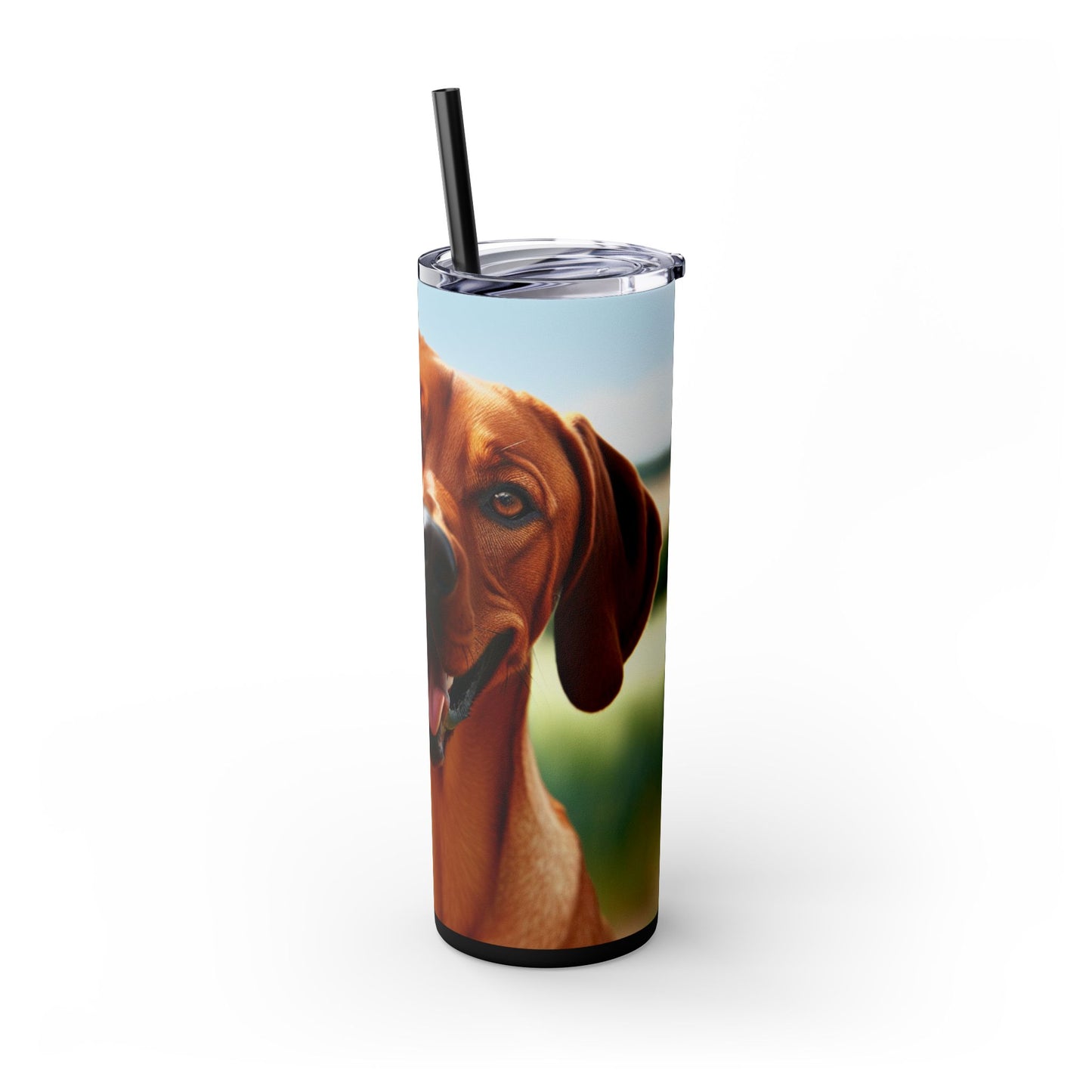 Portuguese Pointer Tumbler with Straw, 20oz