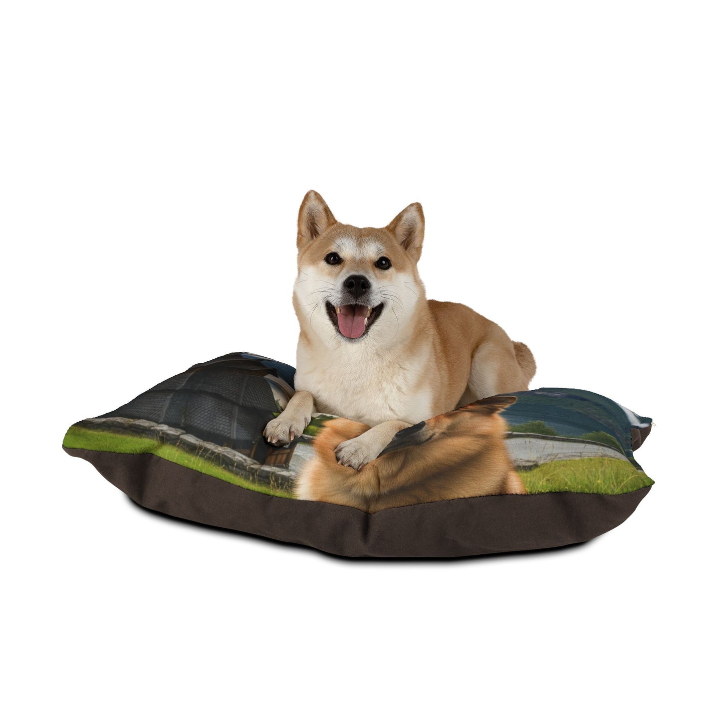 Norwegian Buhund Pet Bed