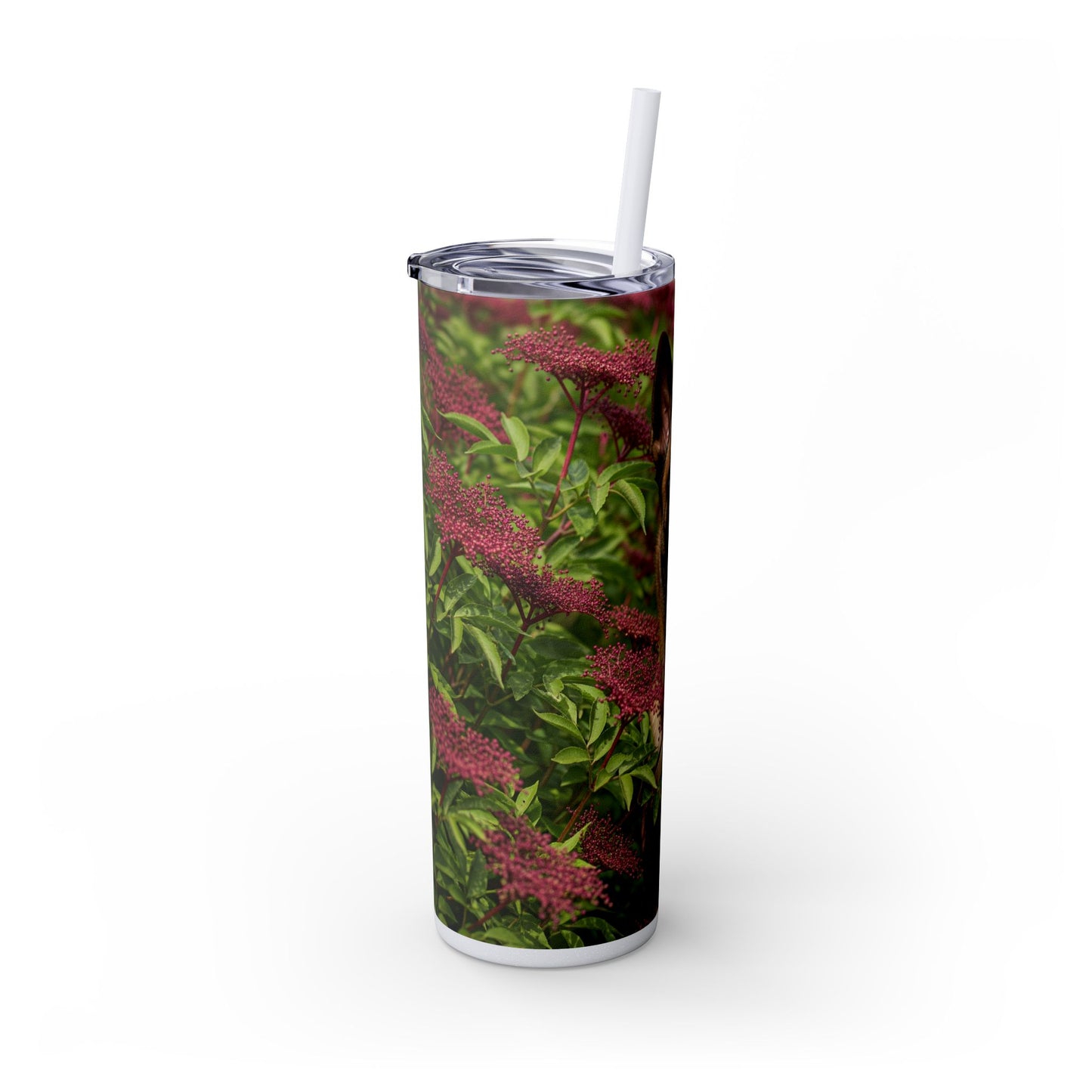 Belgian Shepherd Dog Malinois Tumbler with Straw, 20oz