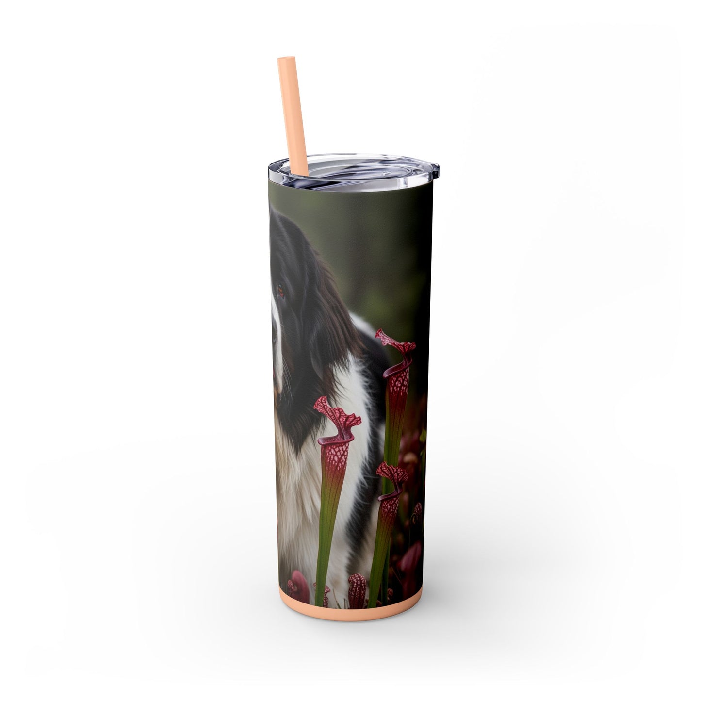 Landseer Tumbler with Straw, 20oz