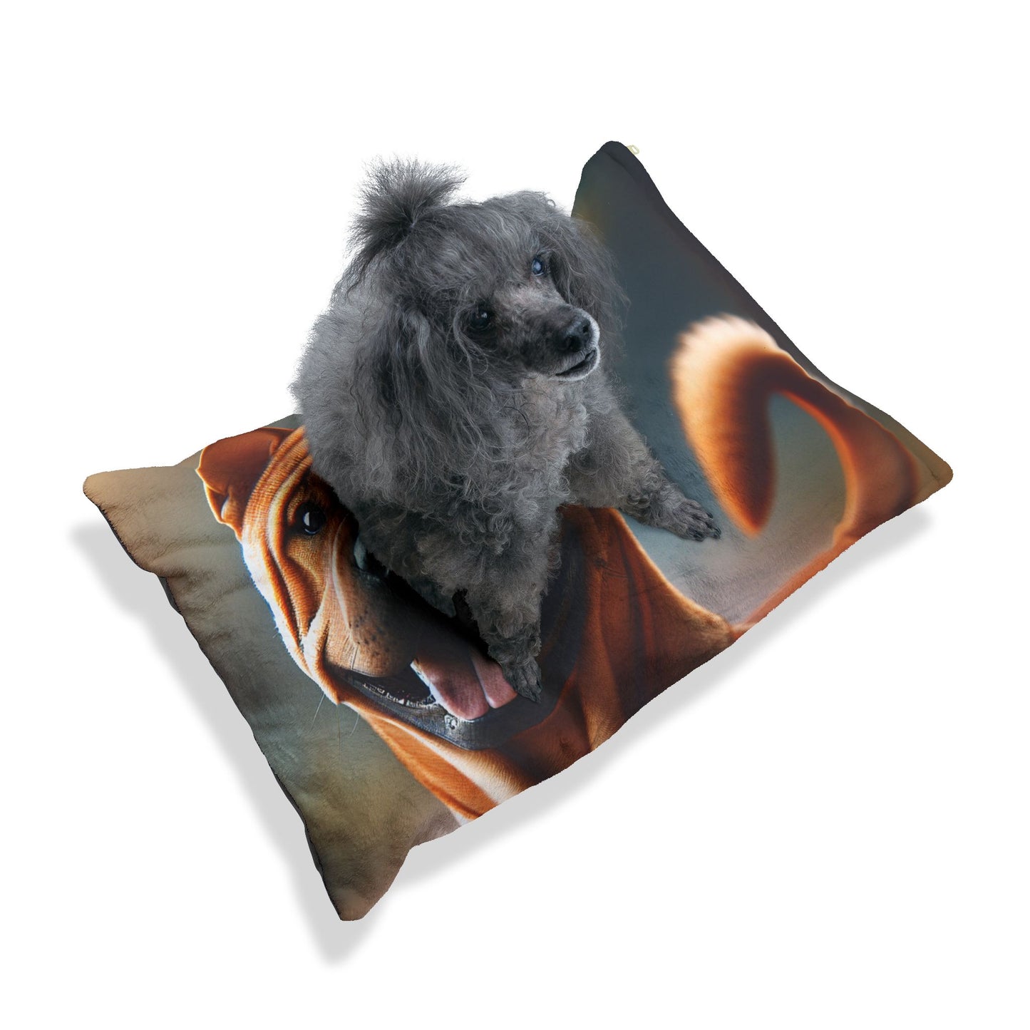 Chinese Chongqing Pet Bed