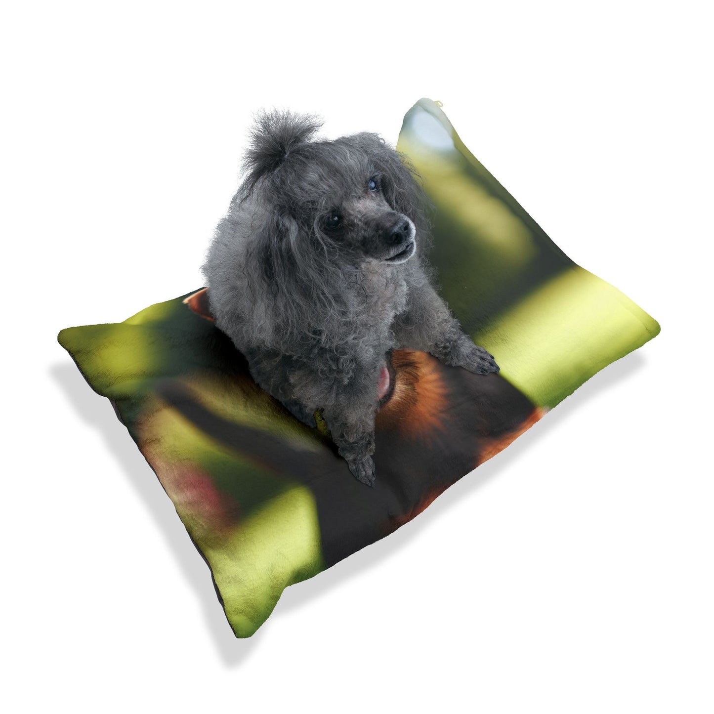 Deutscher Jagdterrier Pet Bed