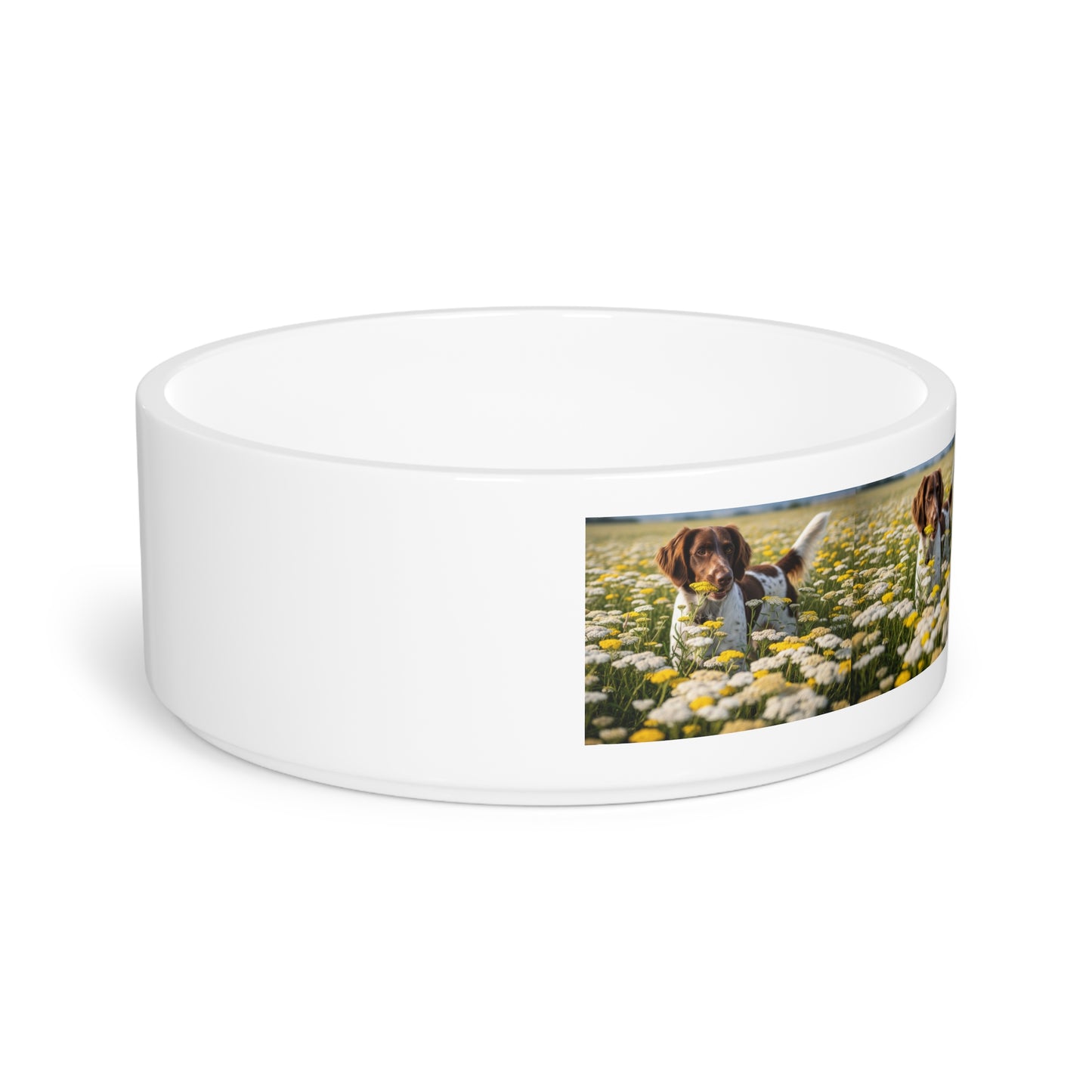 Drentsche Patrijshond Pet Bowl