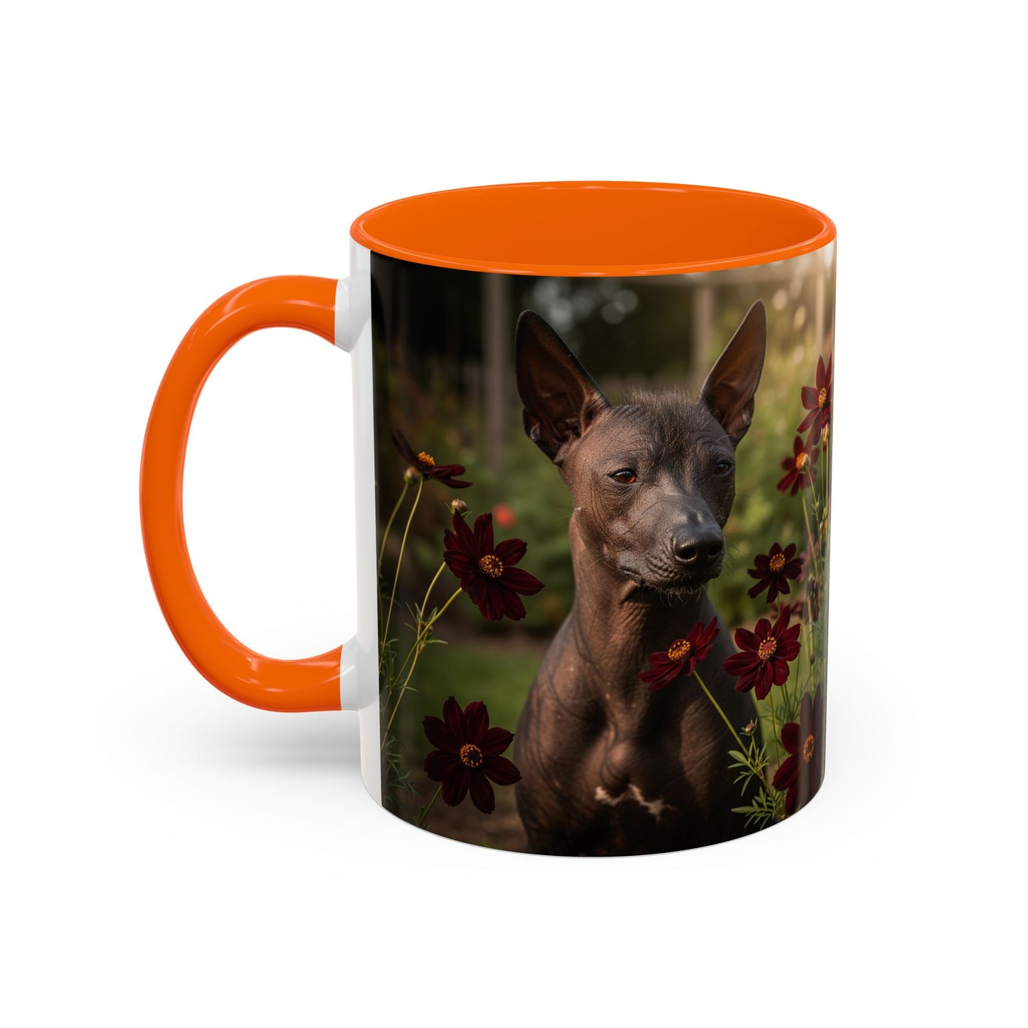 Xoloitzcuintli Accent Coffee Mug - Perfect Gift for Dog Lovers