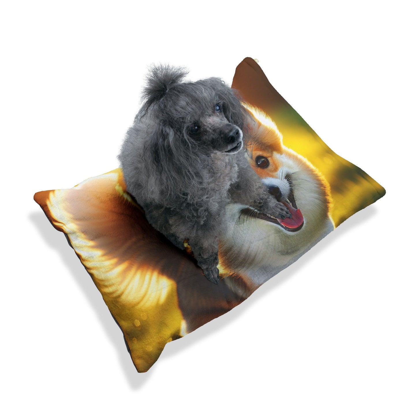 Norwegian Lundehund Pet Bed