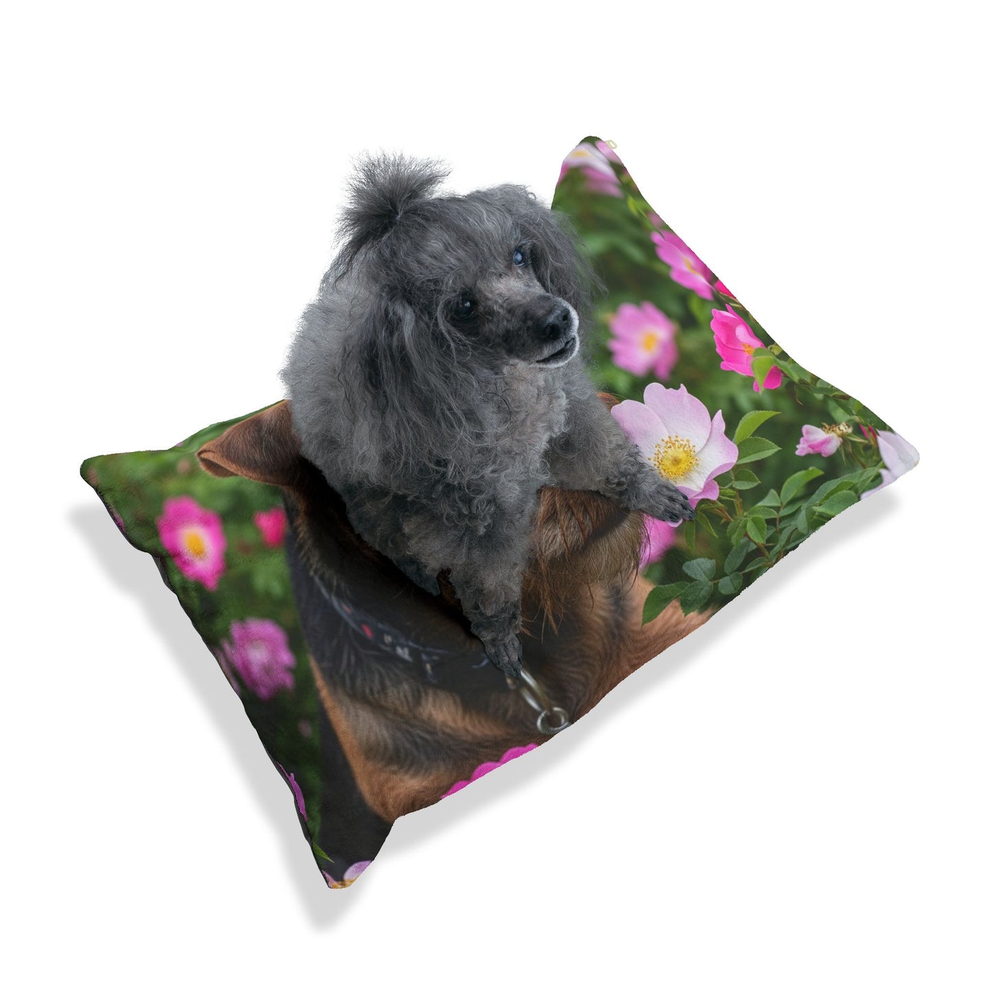 Teddy Roosevelt Terrier Pet Bed