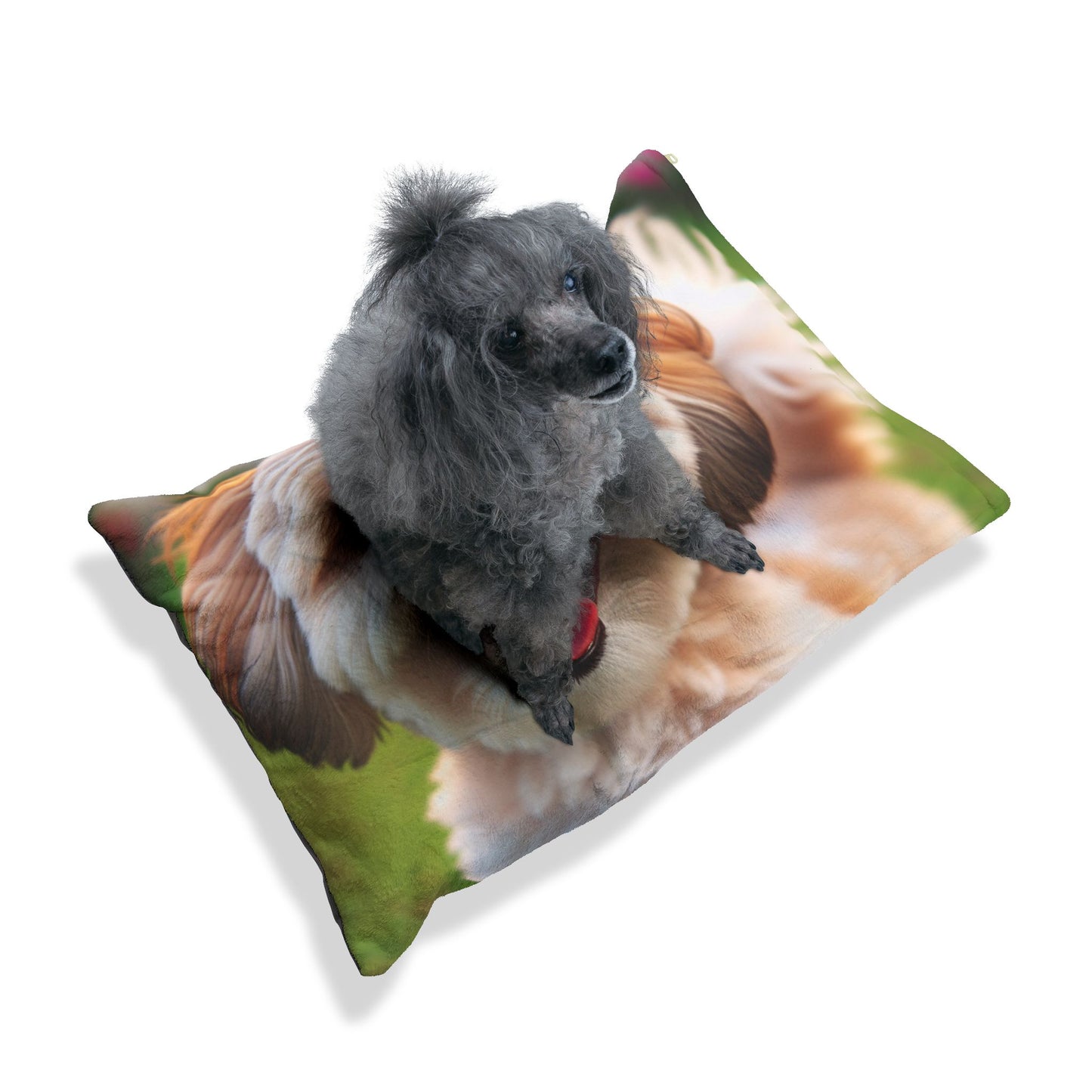 Shih-poo Pet Bed