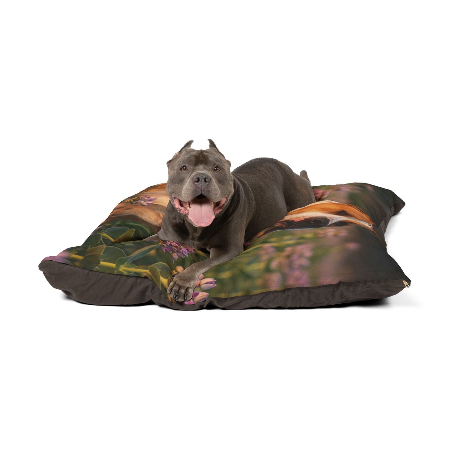 Gull Dong Pet Bed