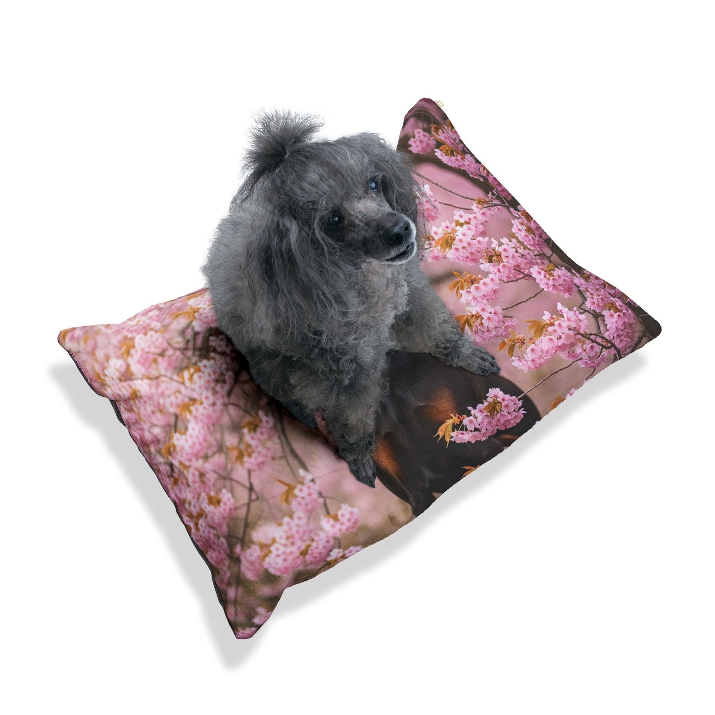 Doberman Pet Bed