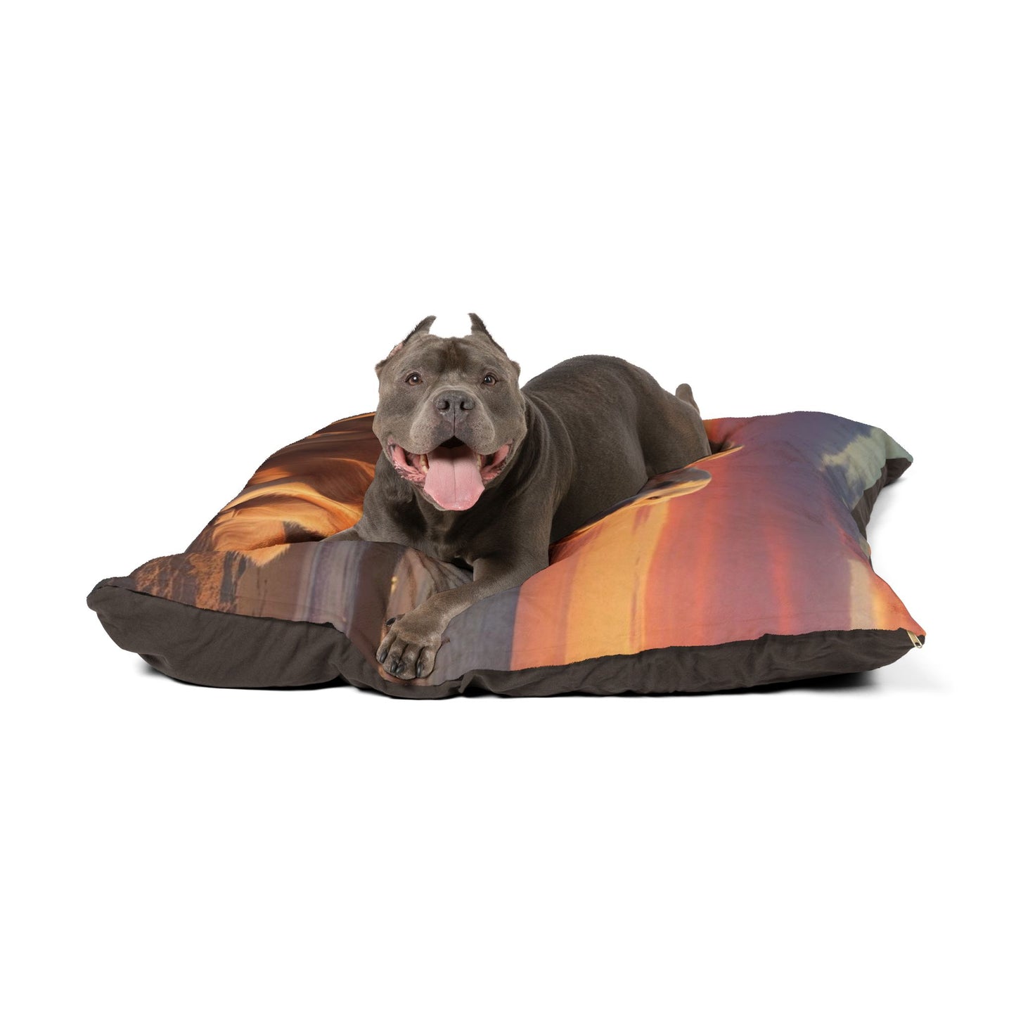 Golden Retriever Love Pet Bed