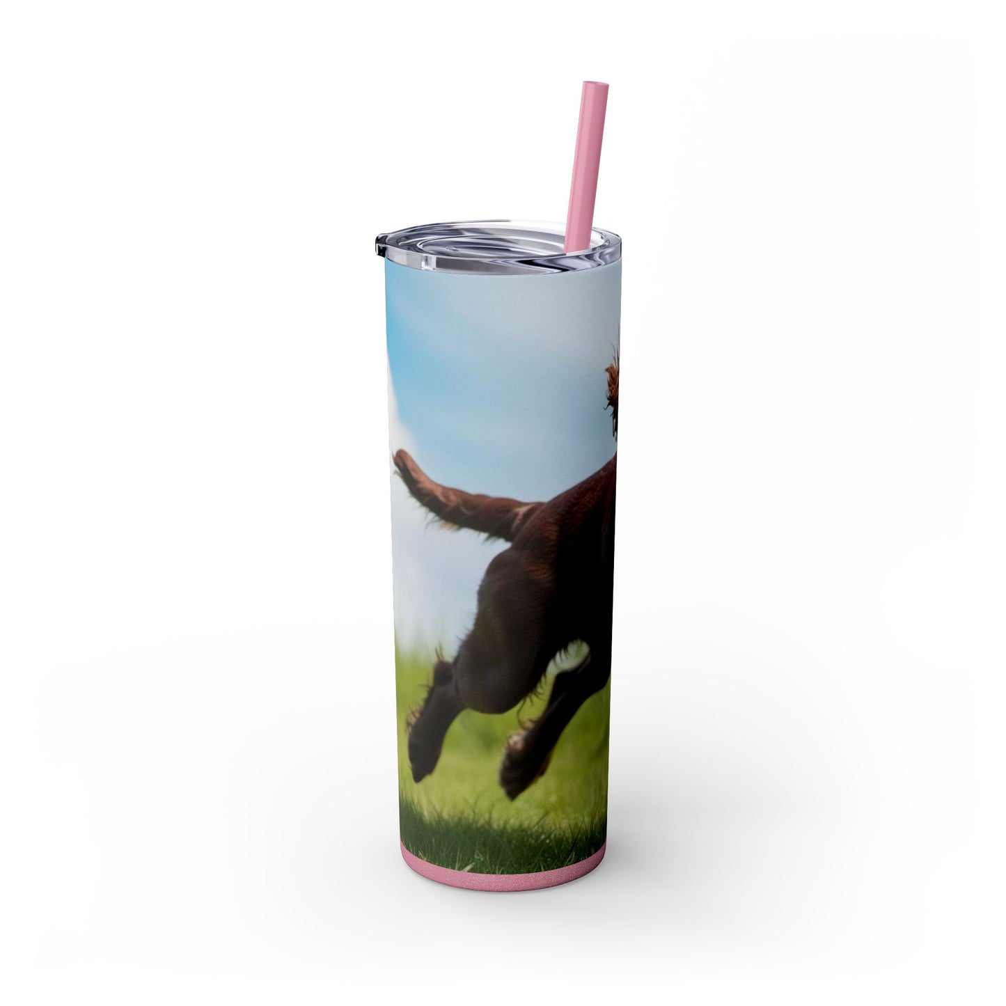 Irish Water Spaniel Tumbler with Straw, 20oz