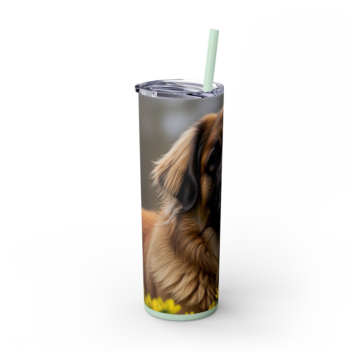 Leonberger Tumbler with Straw, 20oz