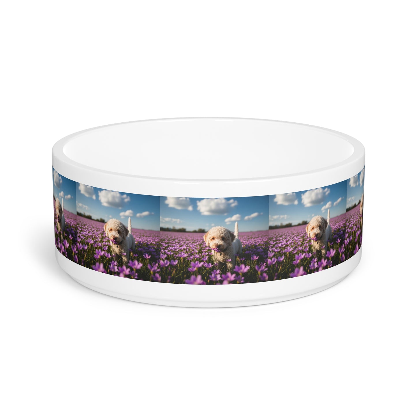 Lagotto Romagnolo Pet Bowl