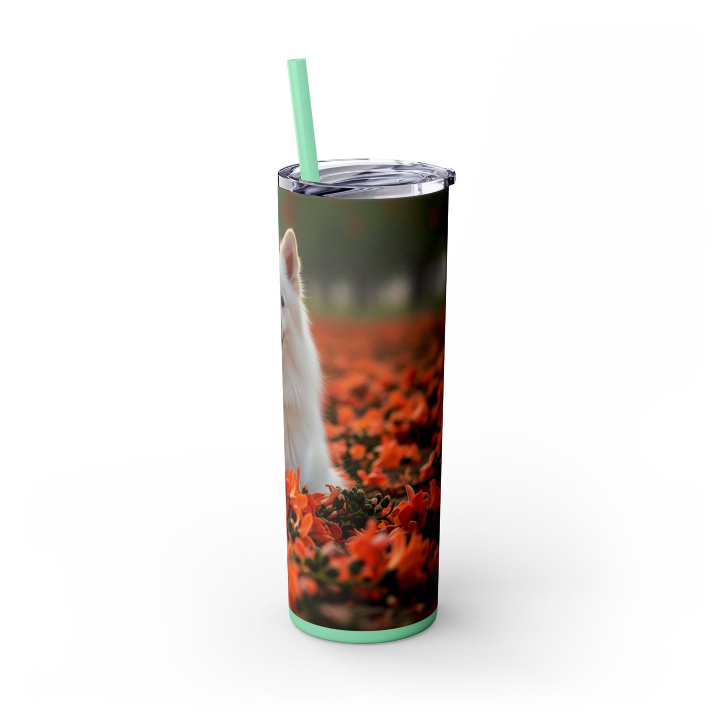 Indian Spitz Tumbler with Straw, 20oz