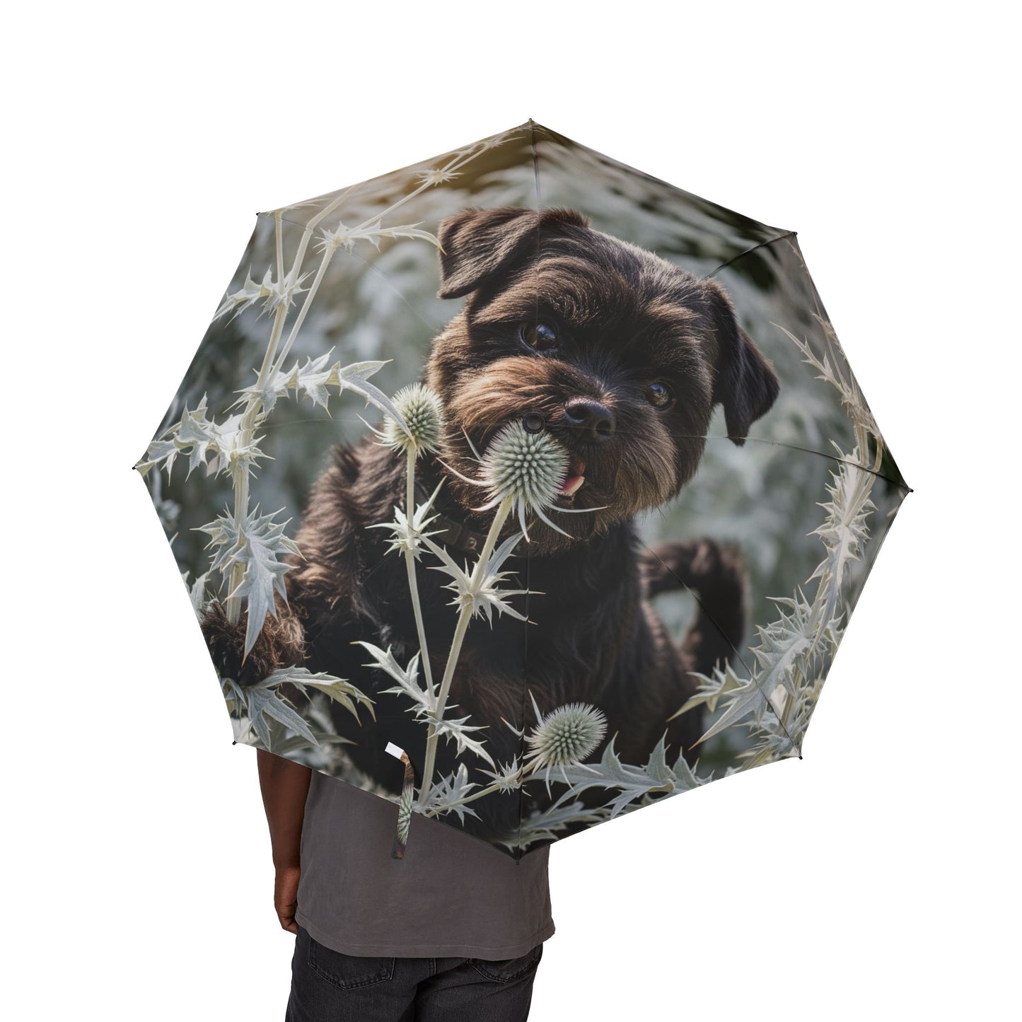 Affenpinscher Semi-Automatic Foldable Umbrella