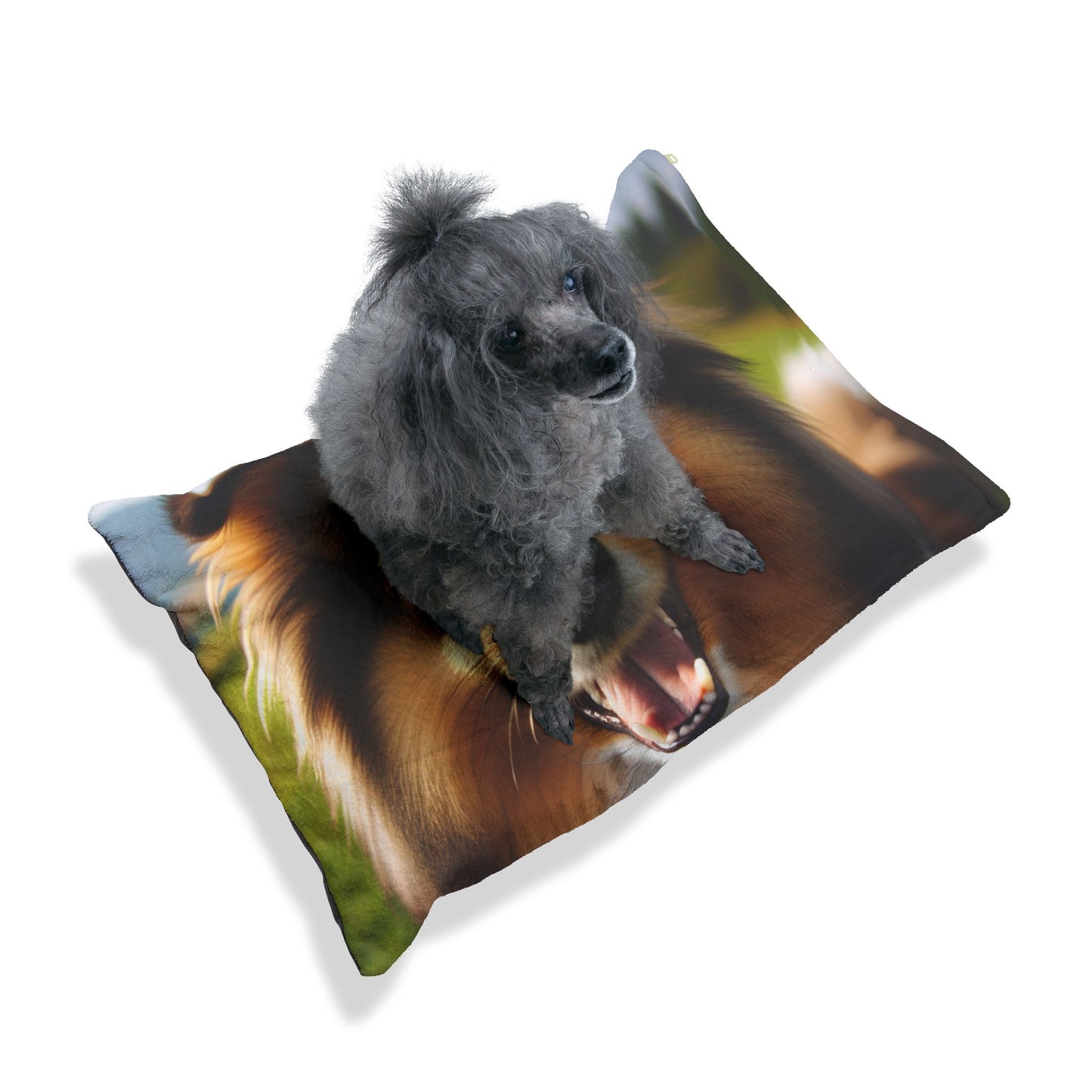 Shetland Sheepdog Pet Bed