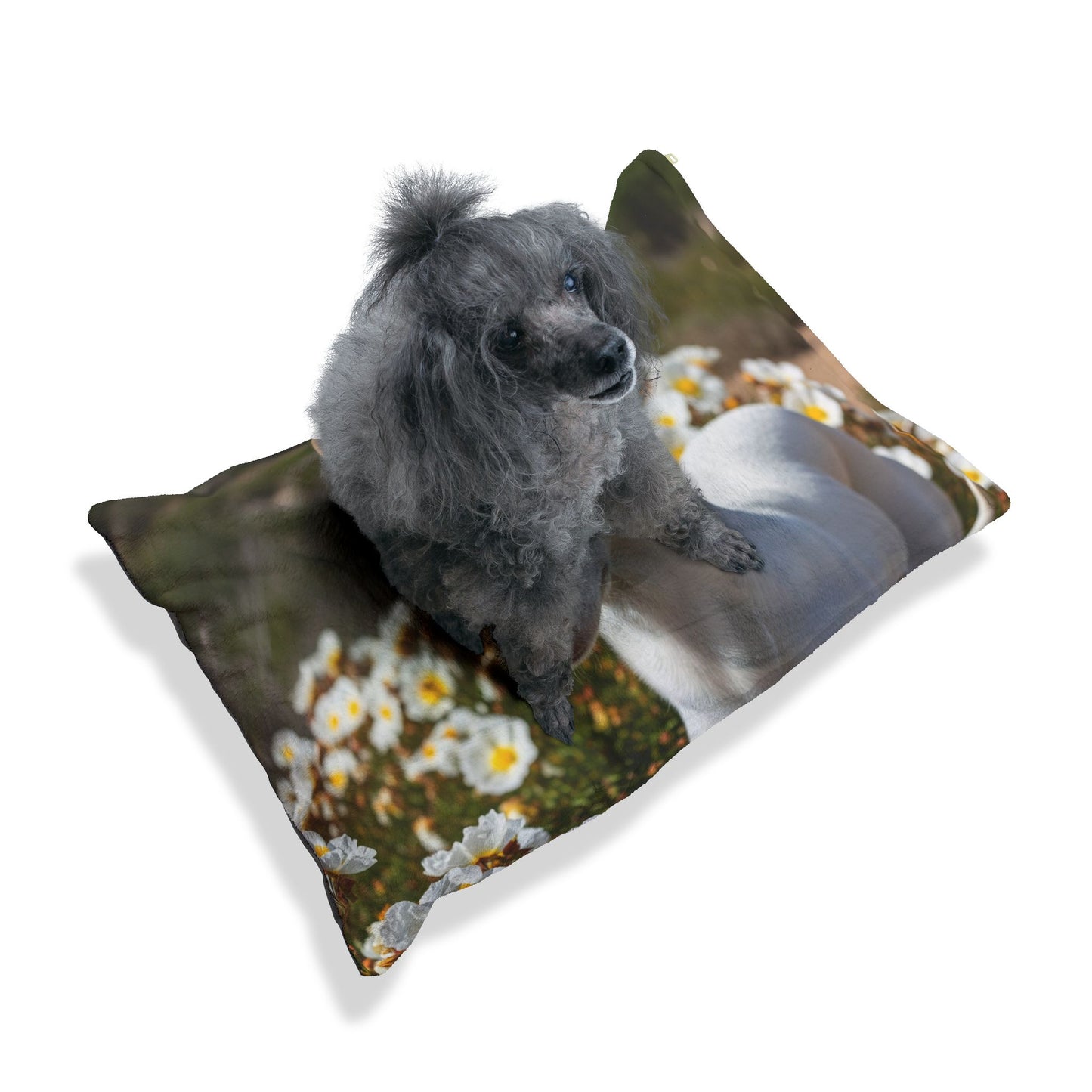 Ibizan Hound Pet Bed