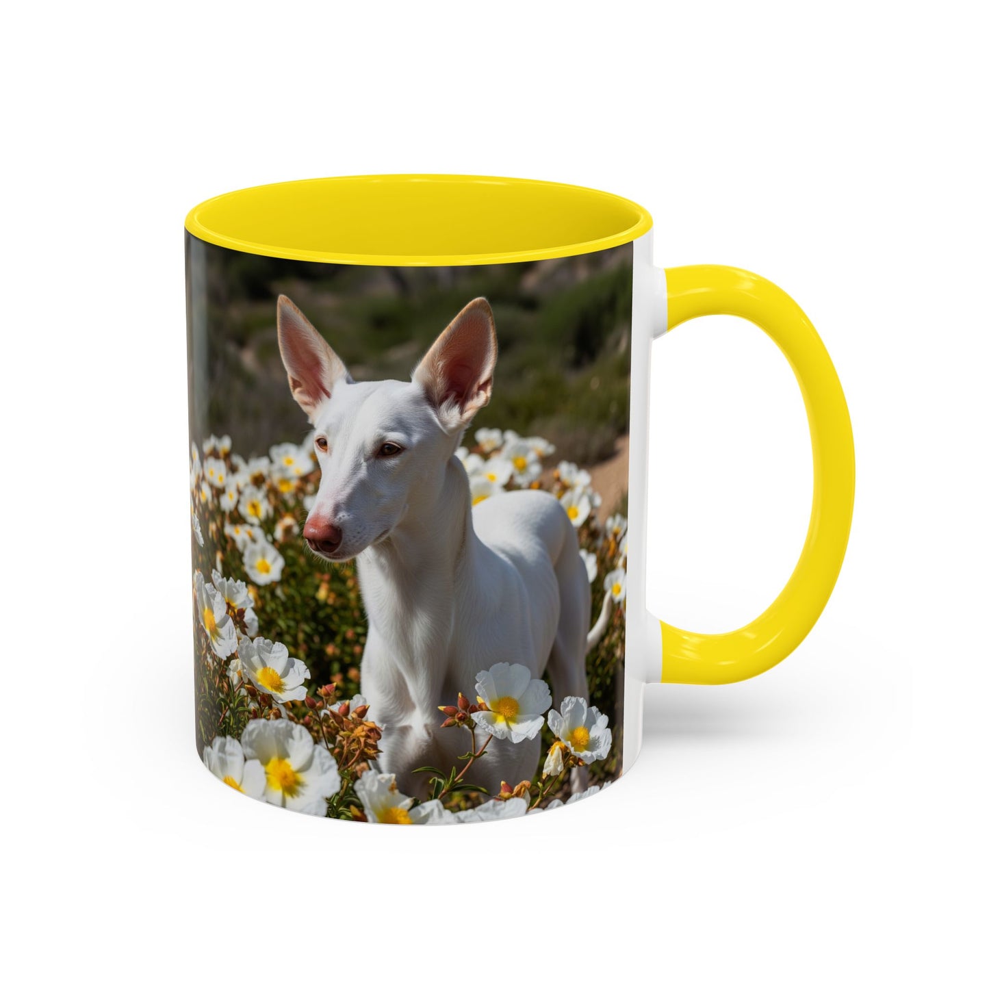Ibizan Hound Accent Coffee Mug - Perfect Gift for Dog Lovers