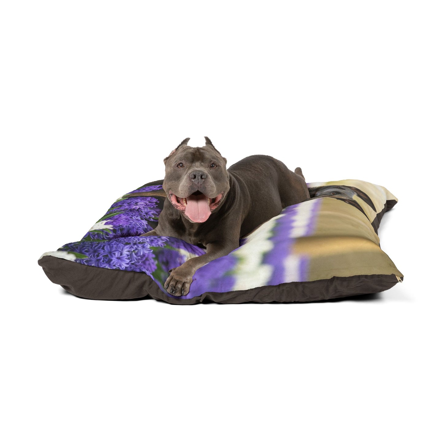 Dutch Shepherd Dog Pet Bed