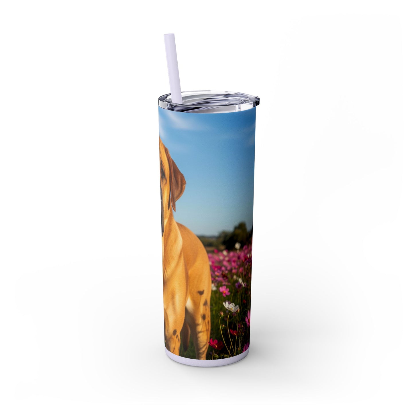 Spanish Mastiff Skinny Tumbler with Straw, 20oz