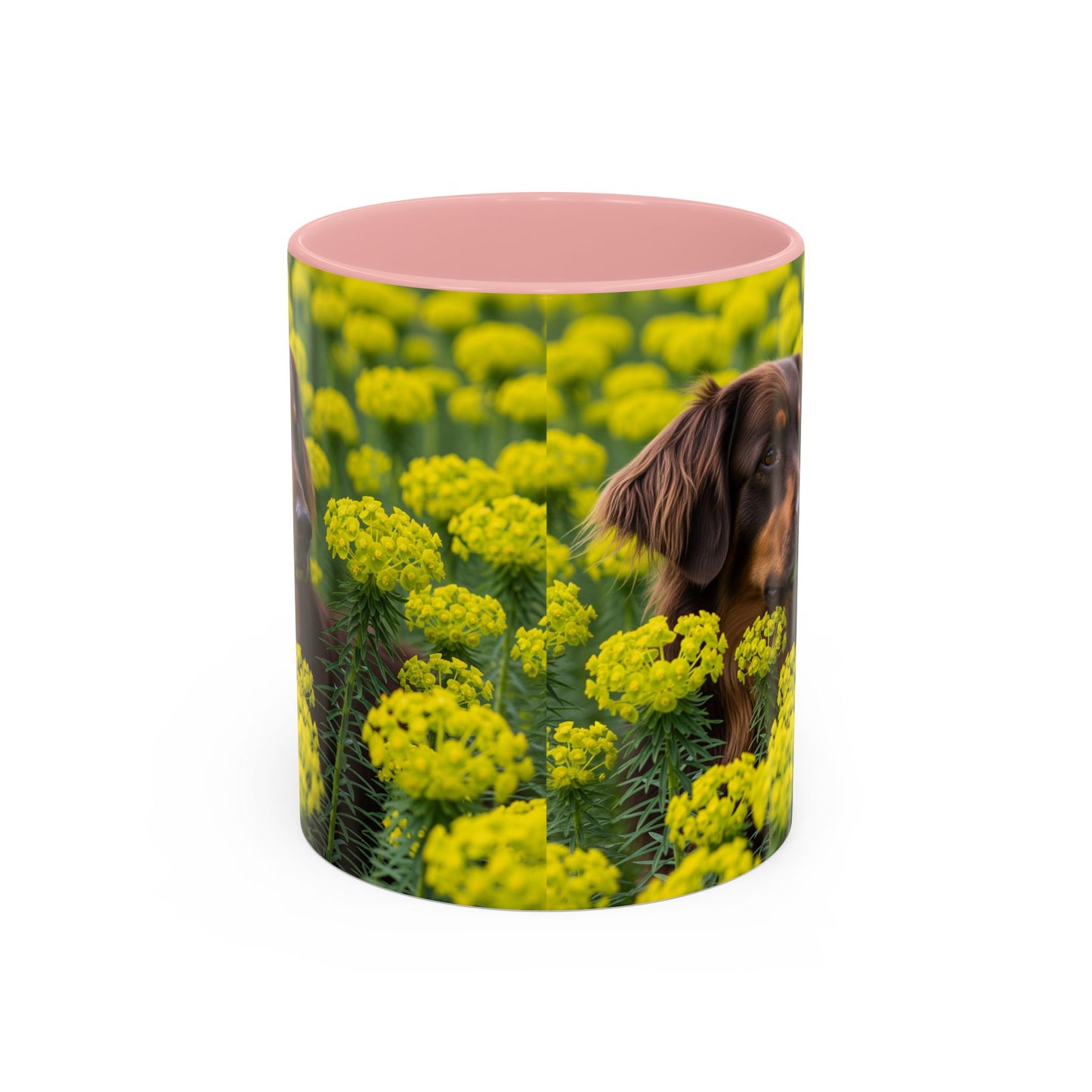 Hovawart Accent Coffee Mug - Perfect Gift for Dog Lovers