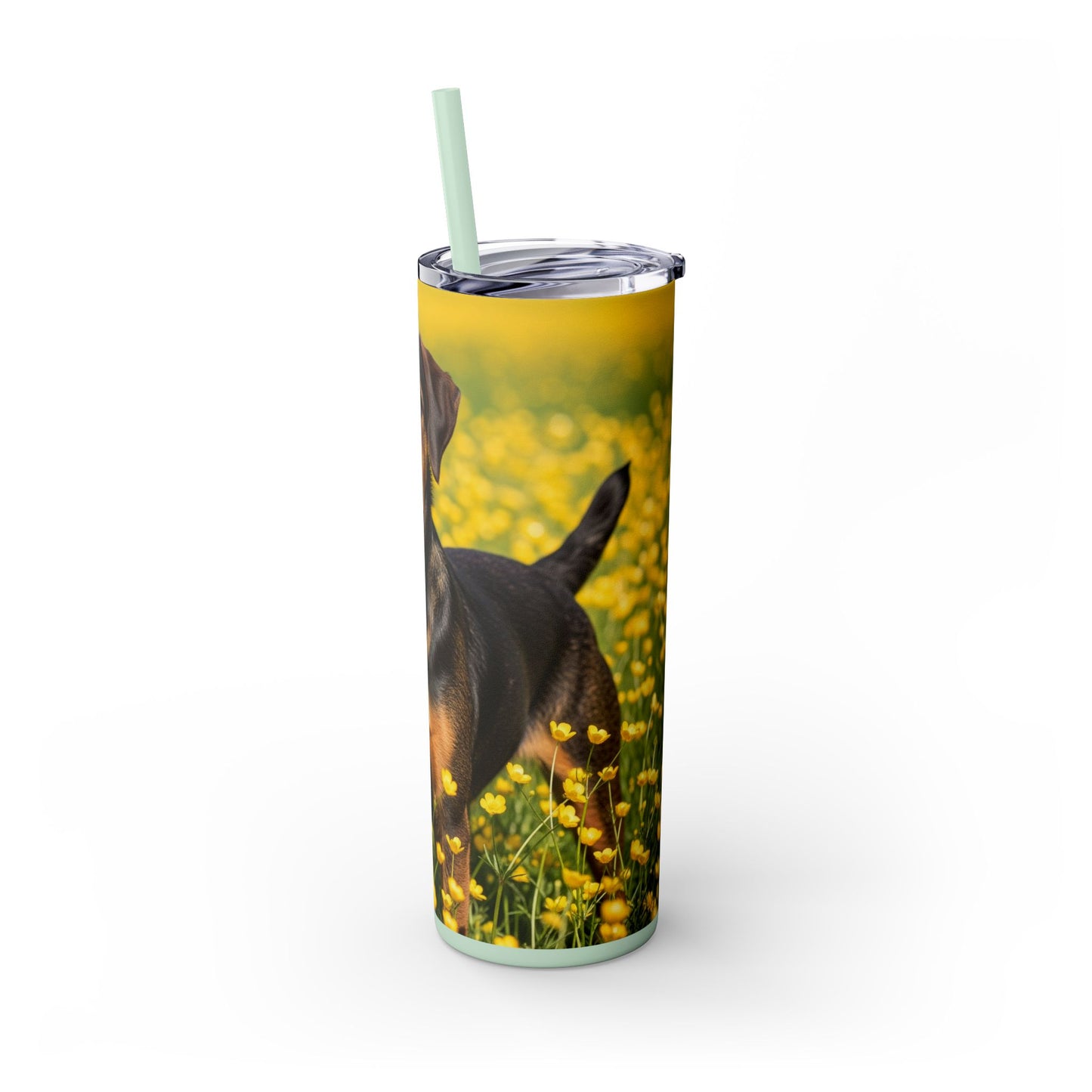 Drever Tumbler with Straw, 20oz