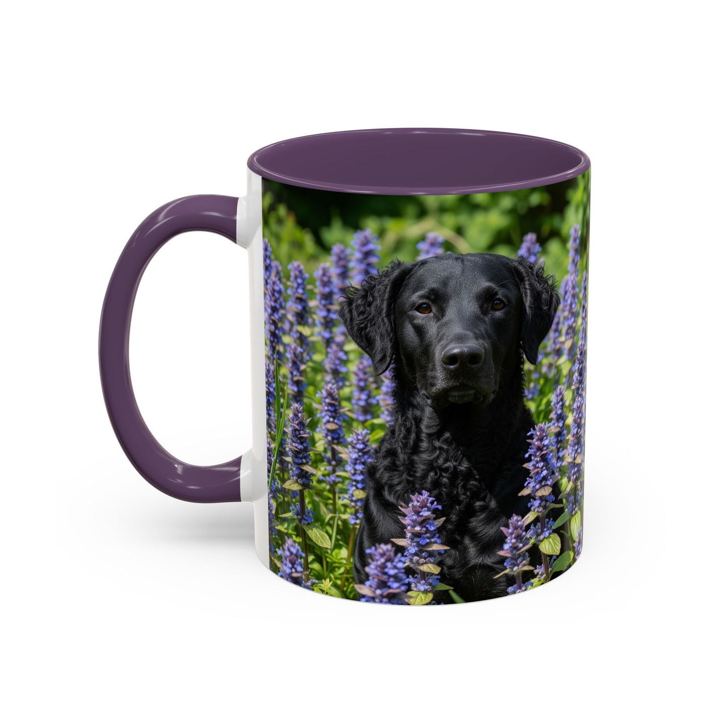 Curly Coated Retriever Accent Coffee Mug - Perfect Gift for Dog Lovers