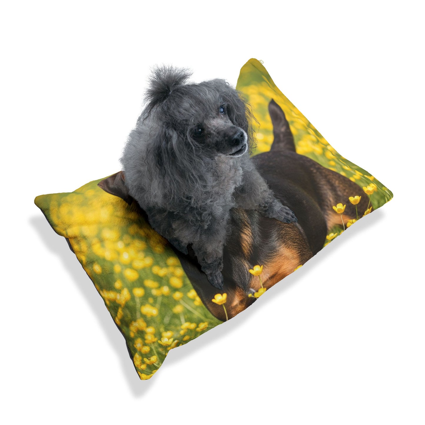Drever Pet Bed