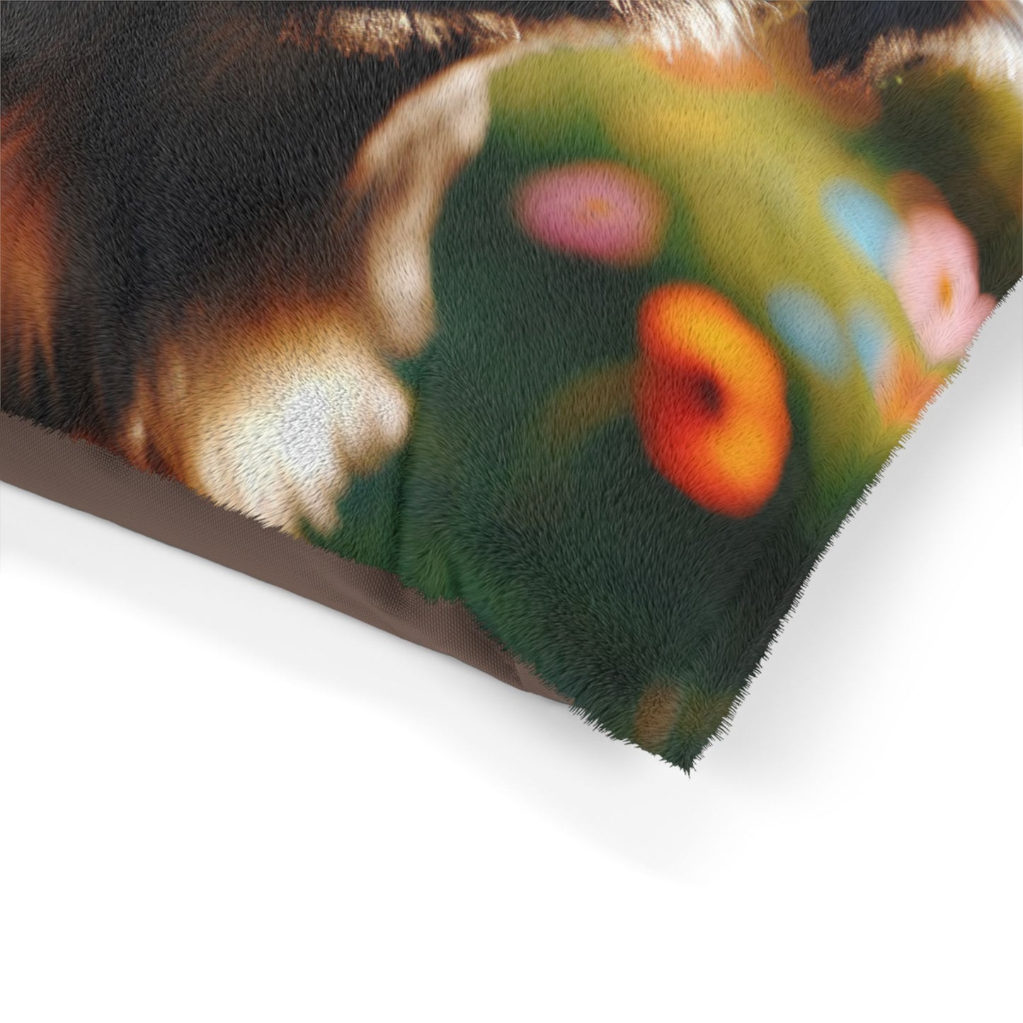 Griffon Bruxellois Pet Bed