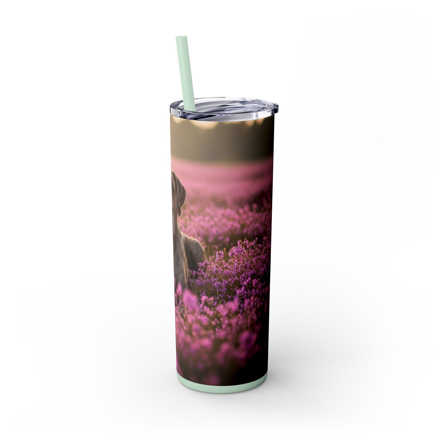 Great Dane Skinny Tumbler with Straw, 20oz