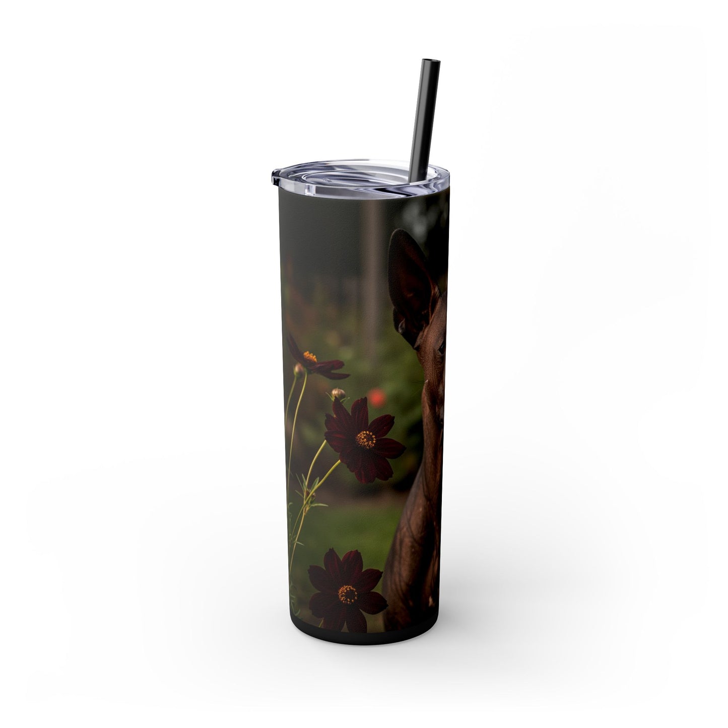 Xoloitzcuintli Skinny Tumbler with Straw, 20oz