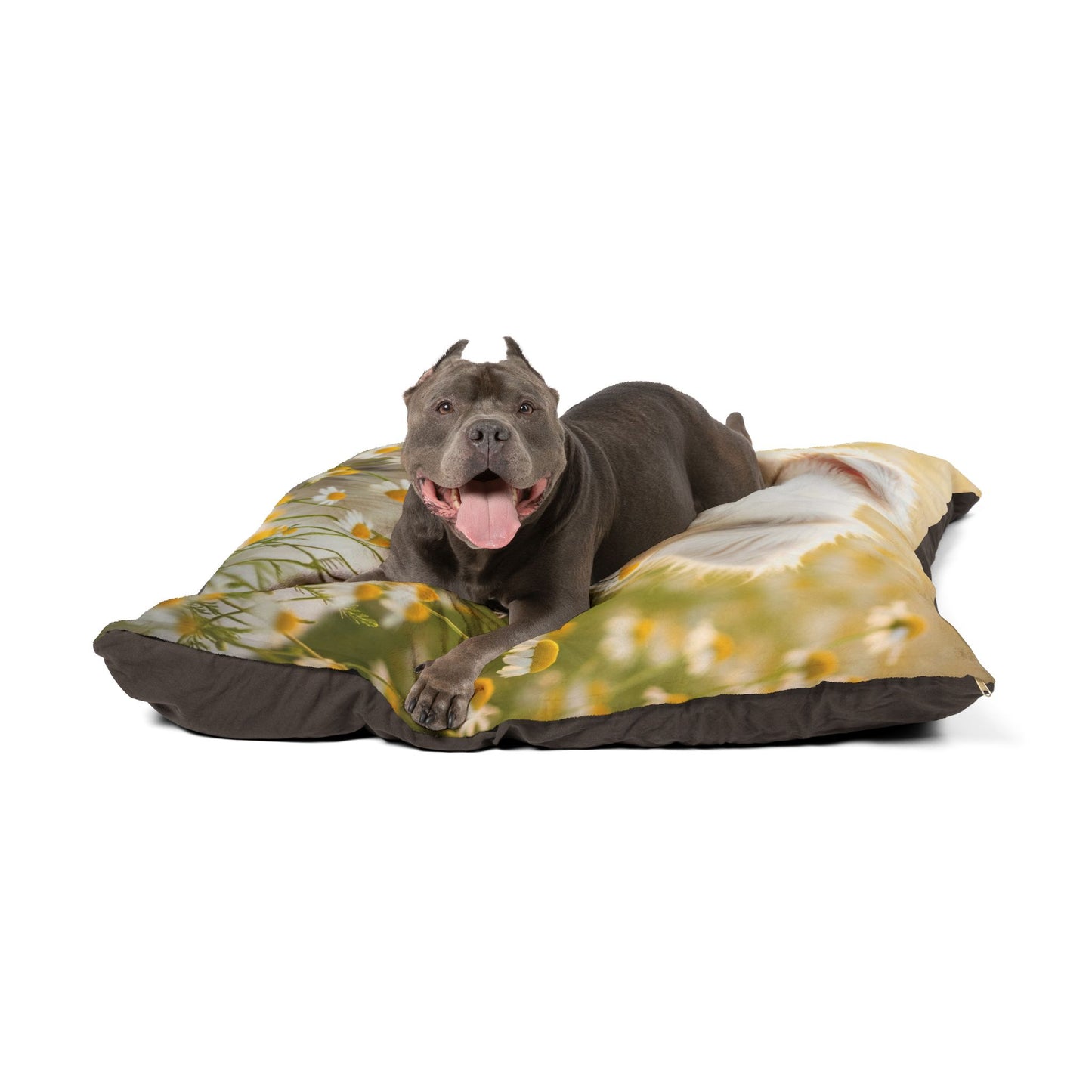 Russkaya Tsvetnaya Bolonka Pet Bed