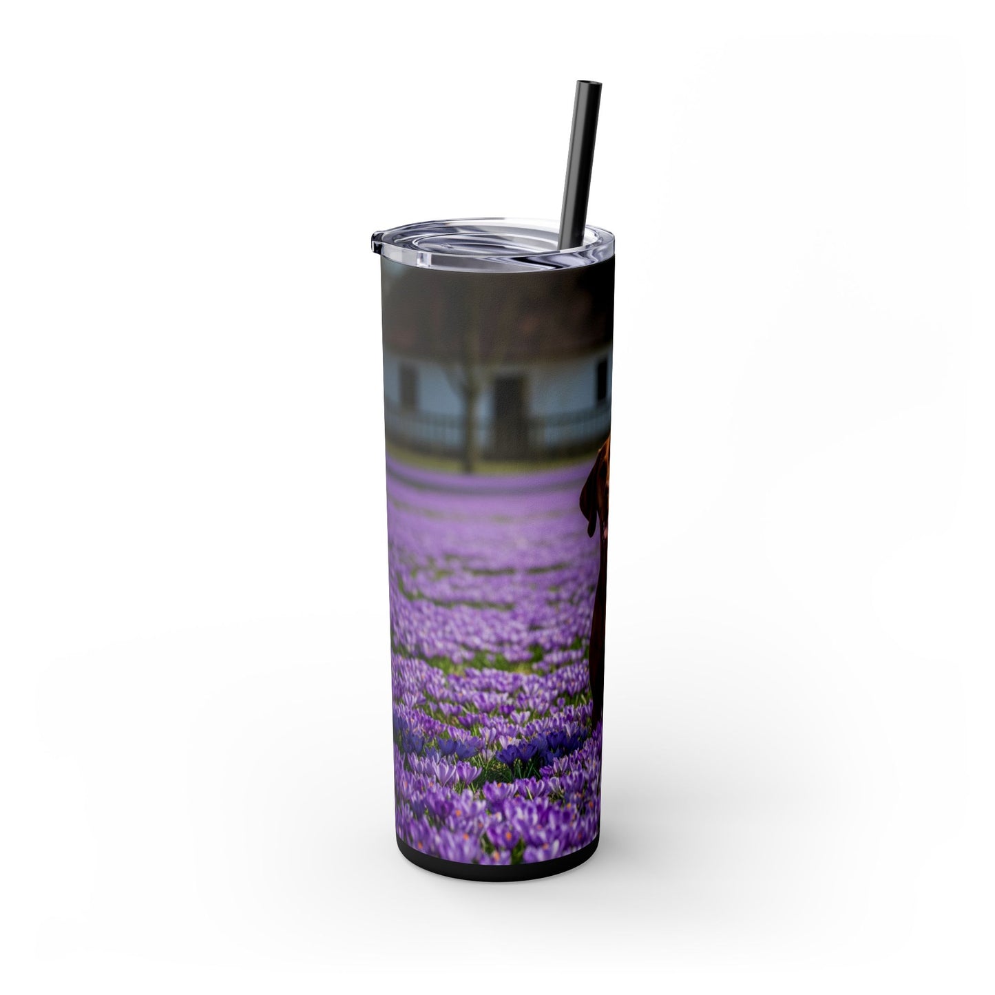 Vizsla Tumbler with Straw, 20oz