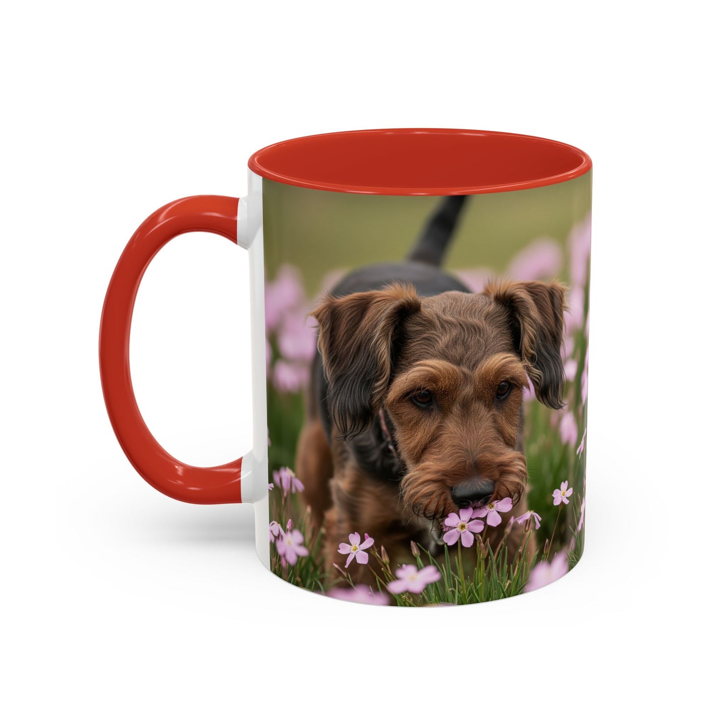 Cesky Terrier Accent Coffee Mug - Perfect Gift for Dog Lovers