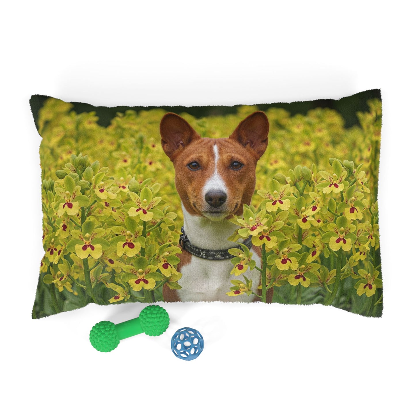 Basenji Pet Bed