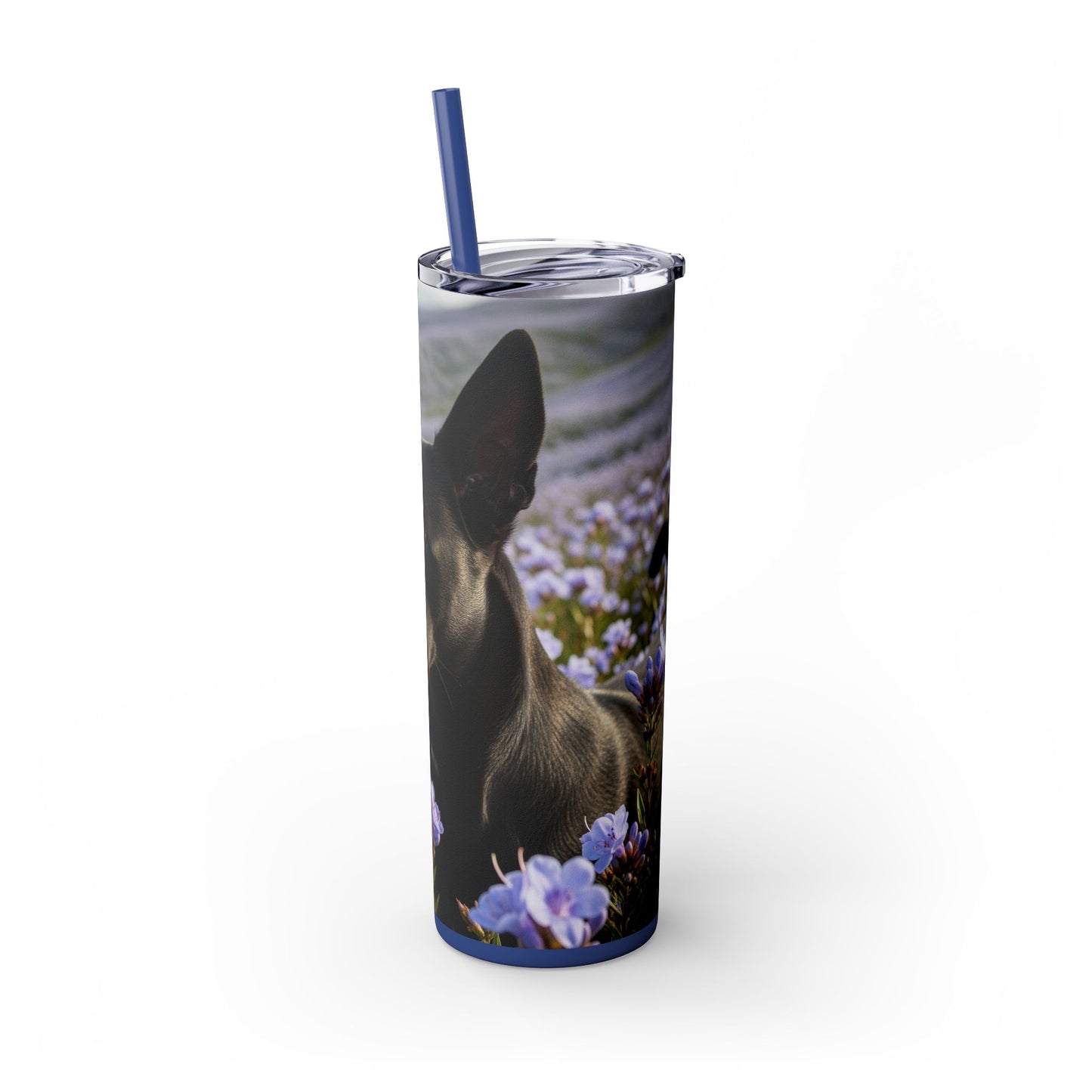 Kanni Tumbler with Straw, 20oz