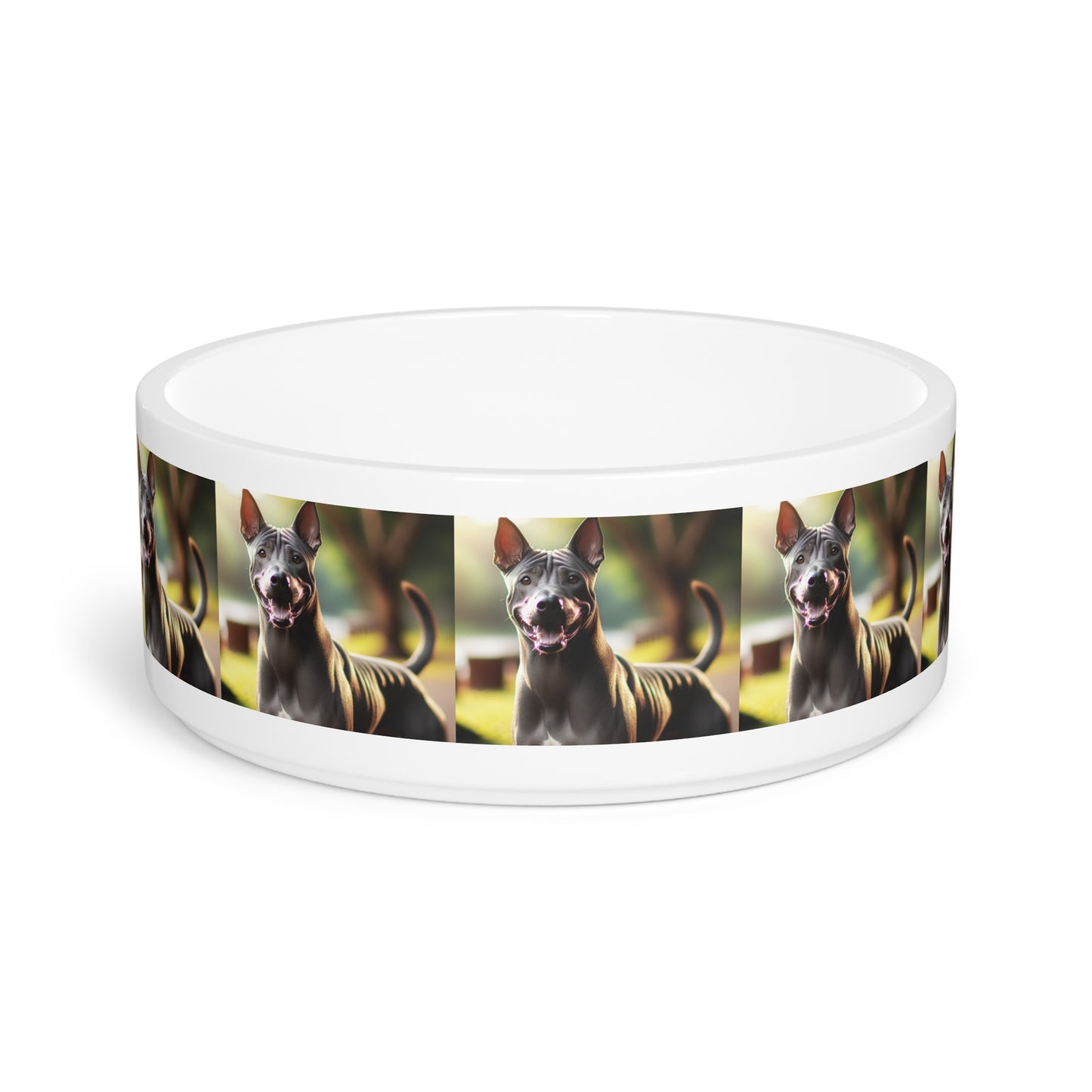 Thai Ridgeback Pet Bowl