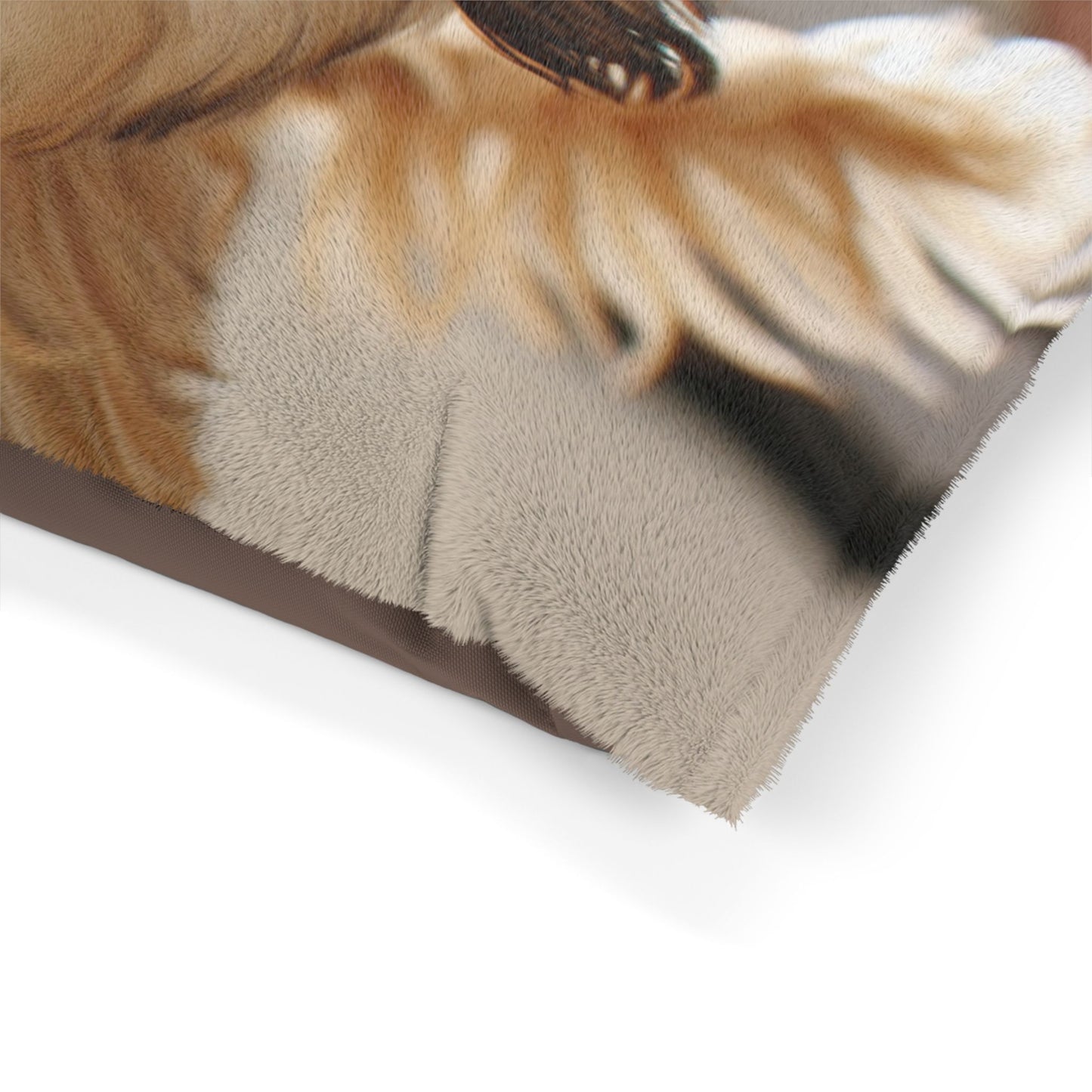 Morkie Pet Bed