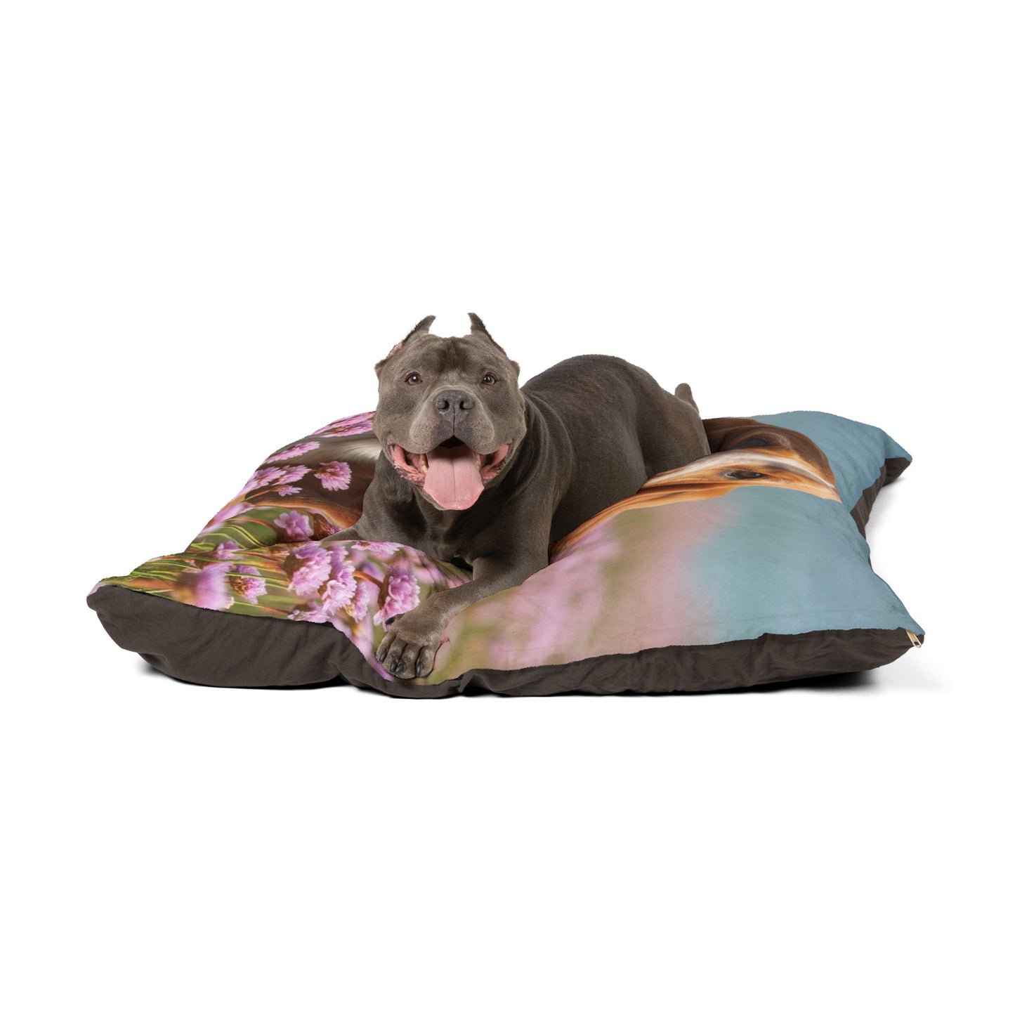 Basset Fauve de Bretagne Pet Bed