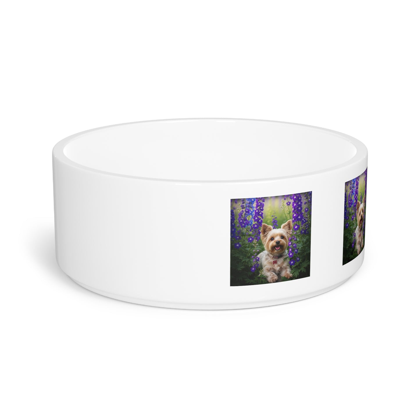 Yorkiepoo Pet Bowl