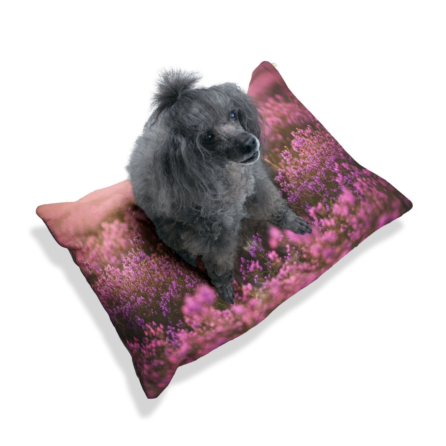Great Dane Pet Bed