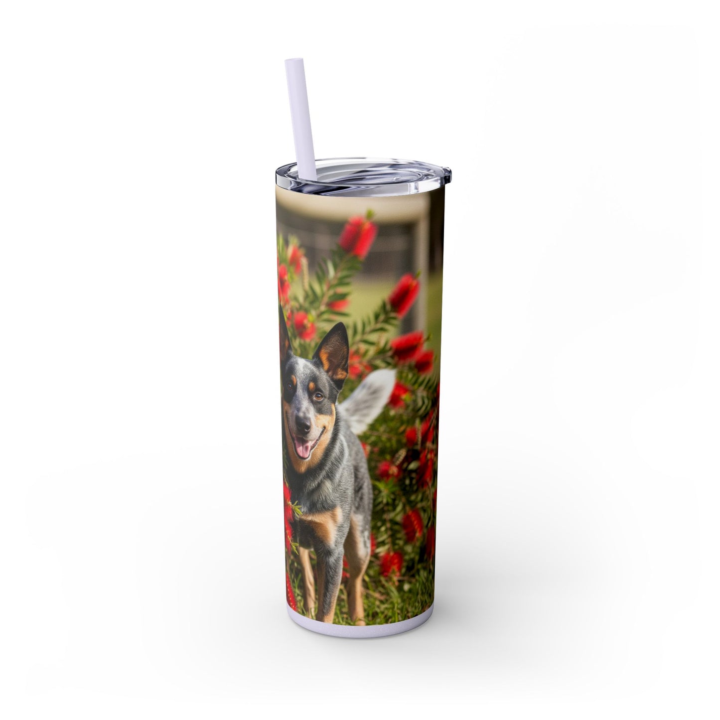 Australian Cattle Dog Skinny Tumbler with Straw, 20oz