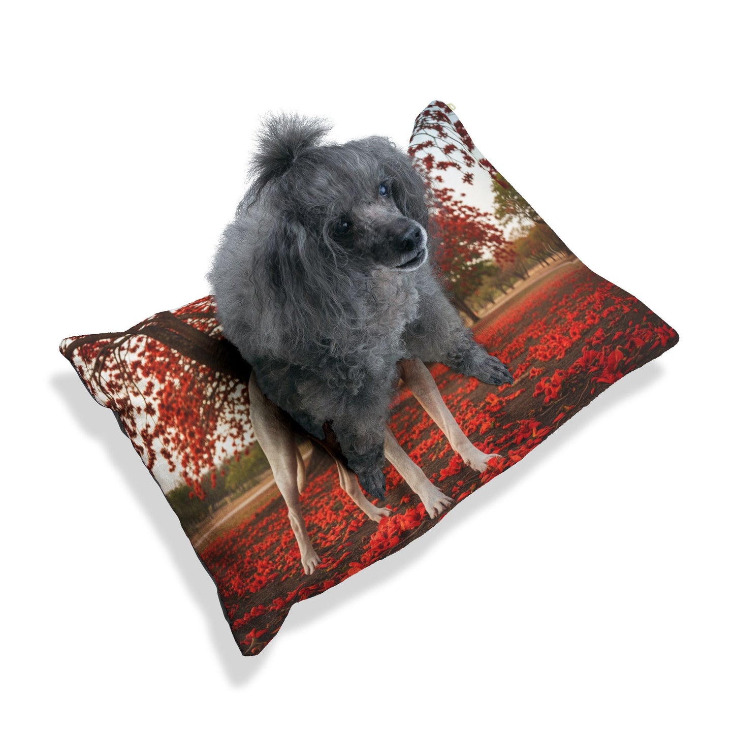 Dogo Argentino Pet Bed