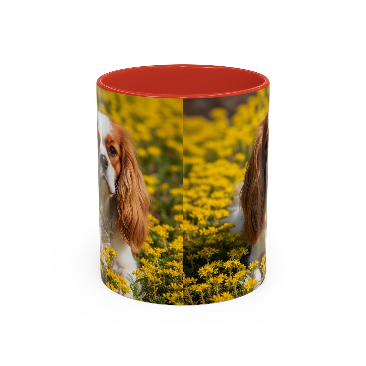 Cavalier King Charles Spaniel Accent Coffee Mug - Perfect Gift for Dog Lovers