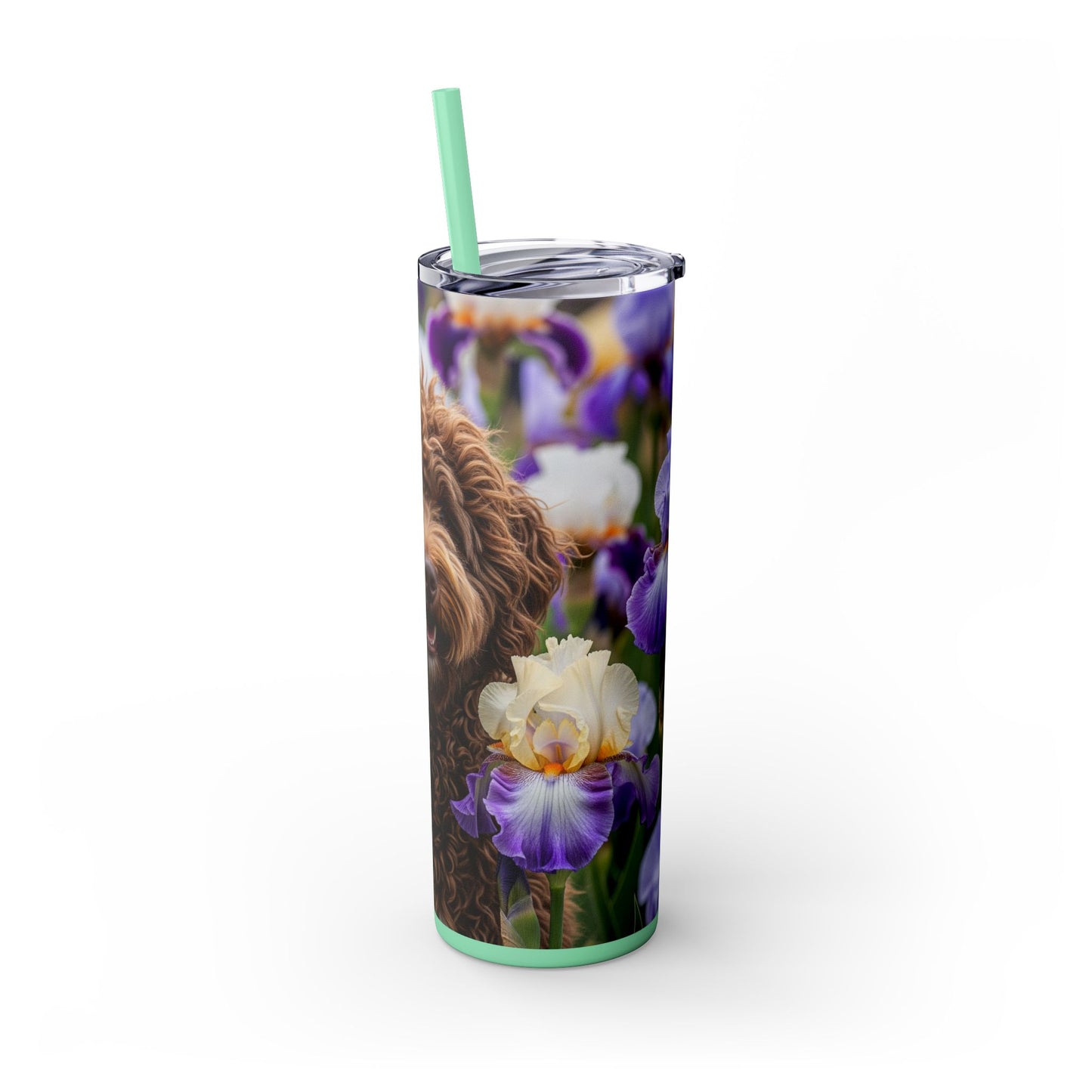 Barbet Skinny Tumbler with Straw, 20oz