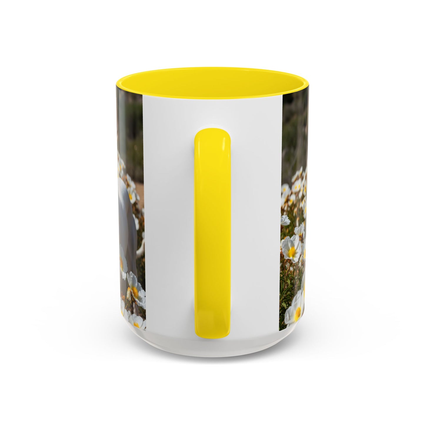 Ibizan Hound Accent Coffee Mug - Perfect Gift for Dog Lovers